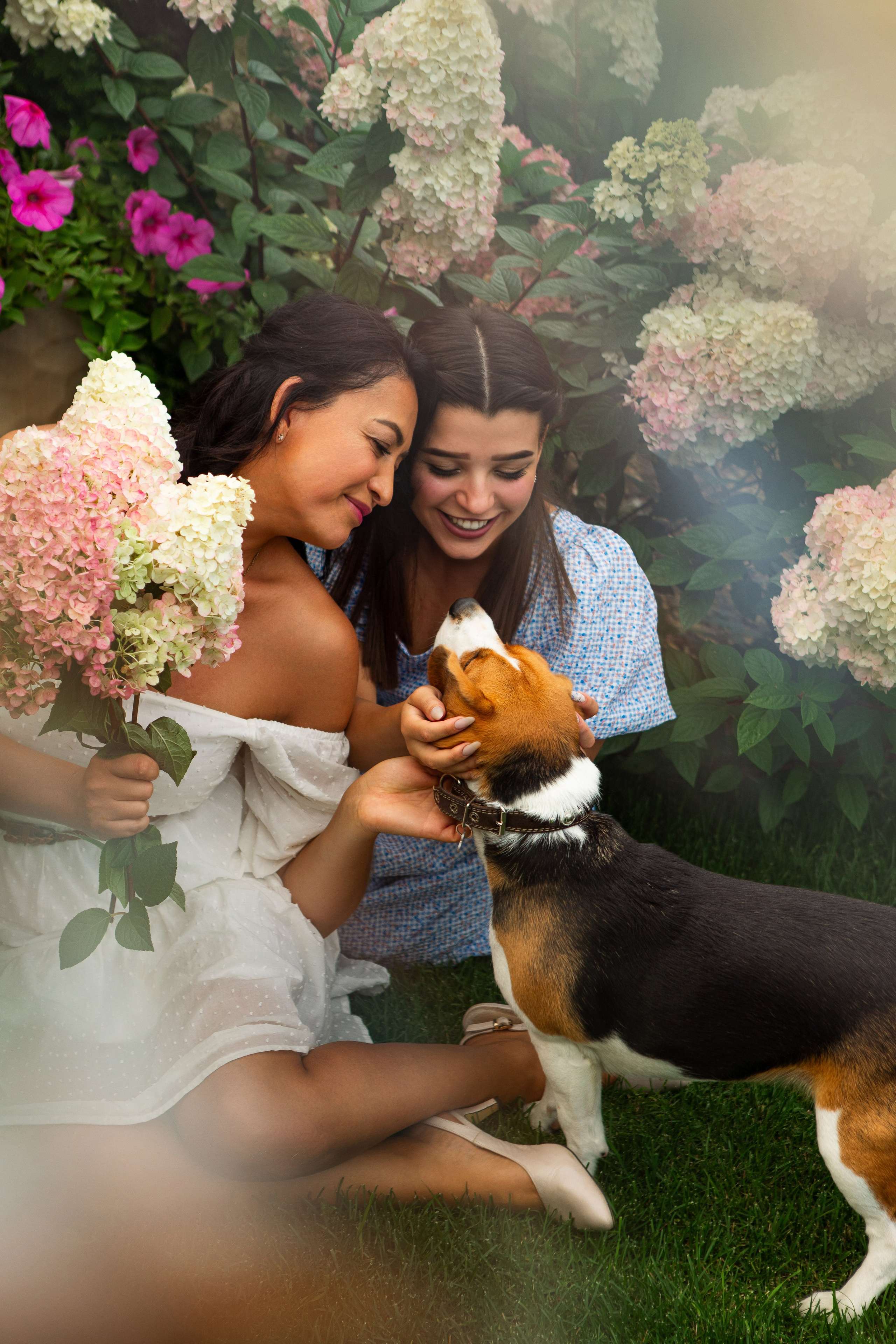 В саду гортензий. Семейный и контент- фотограф Анна Уткина, Электросталь, Ногинск, Москва