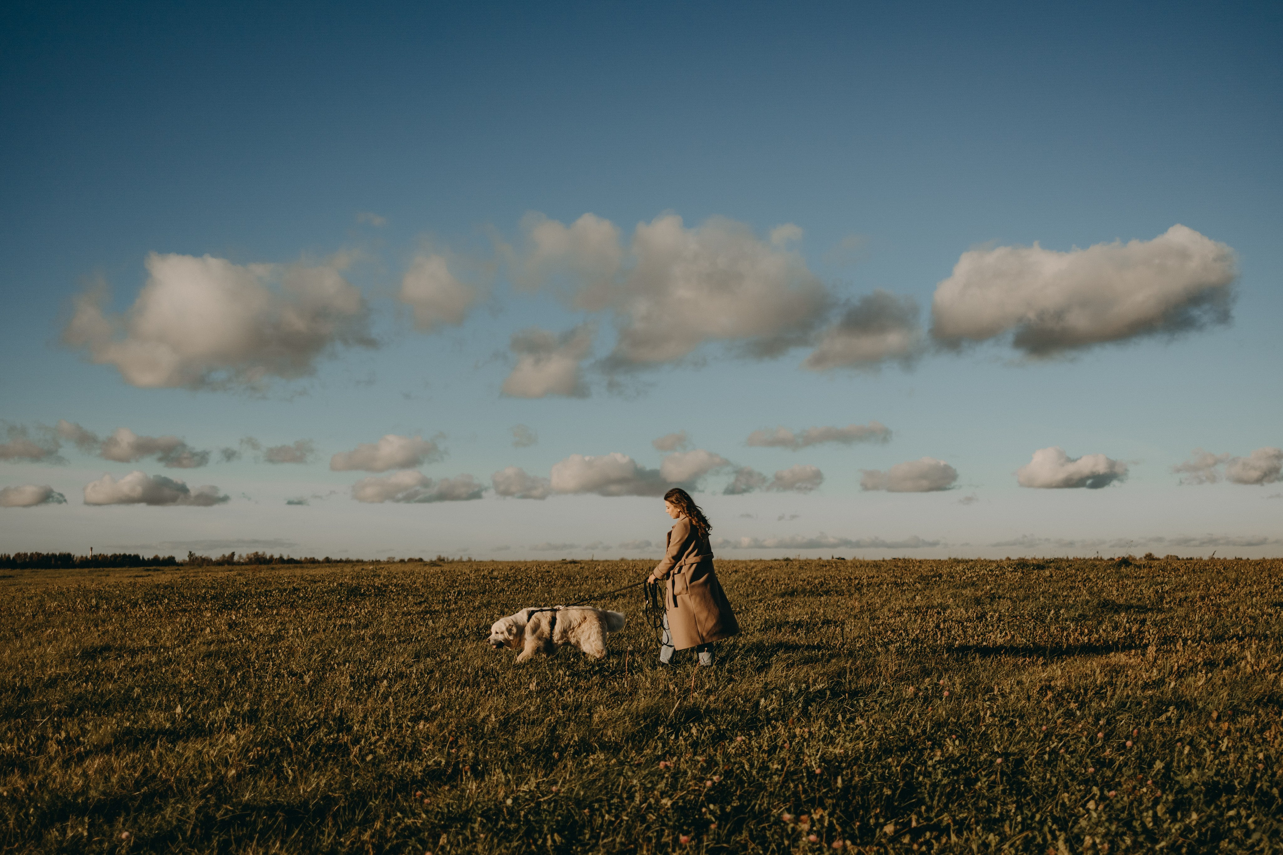 Лера и Скай. Фотограф — Анималист | Санкт-Петербург