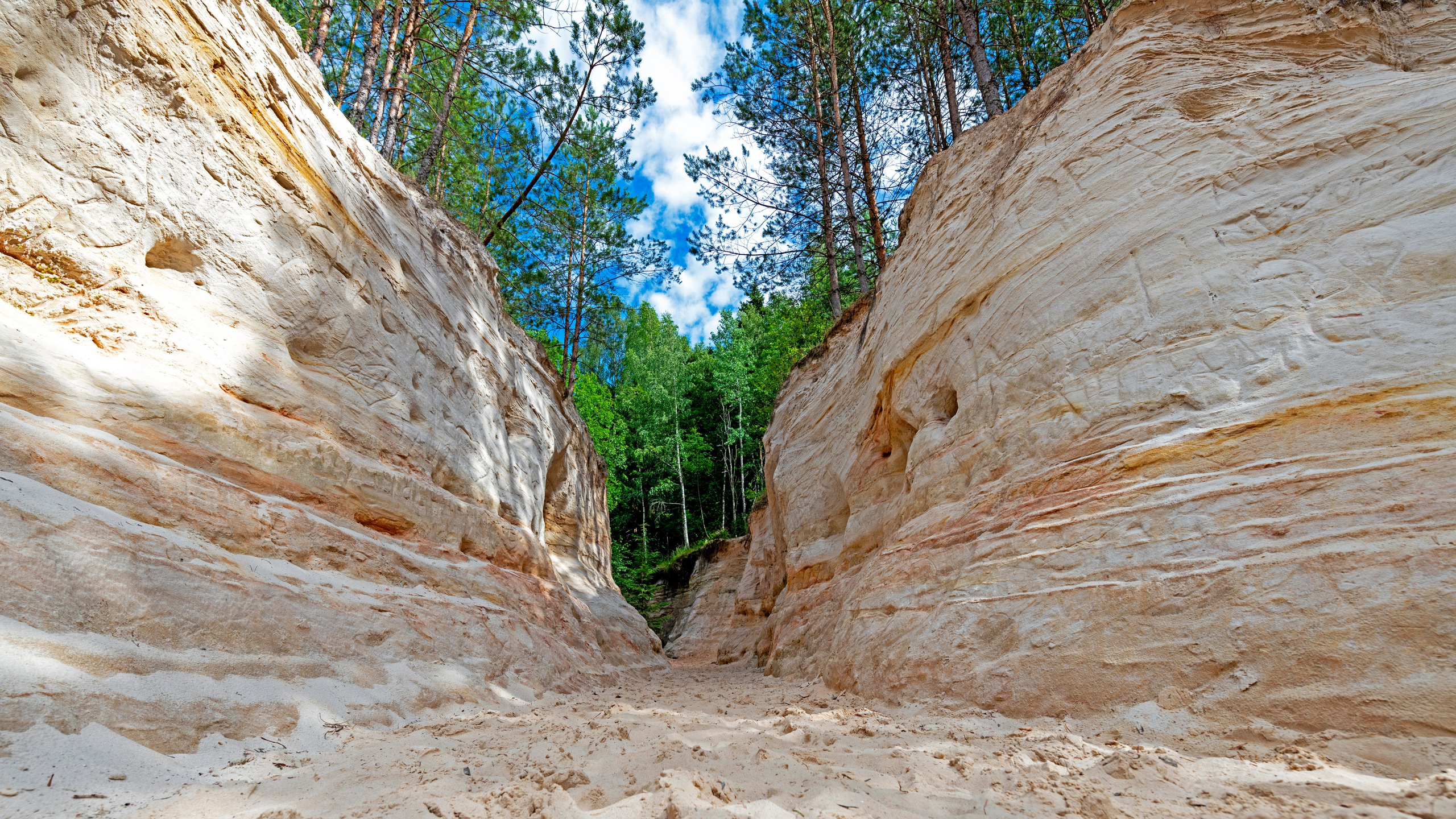 ПРИРОДА. От прошлого к будущему авиации через фотографию