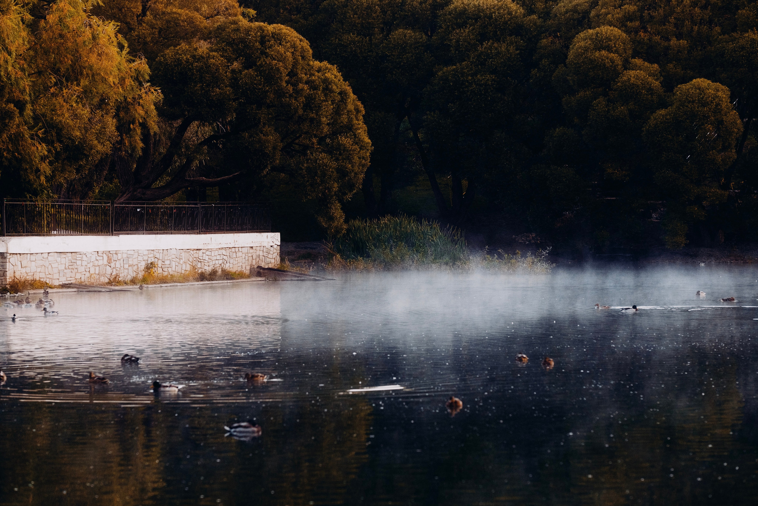 Пейзажи. Фотограф-любитель из Кирова Андрей Погребняк