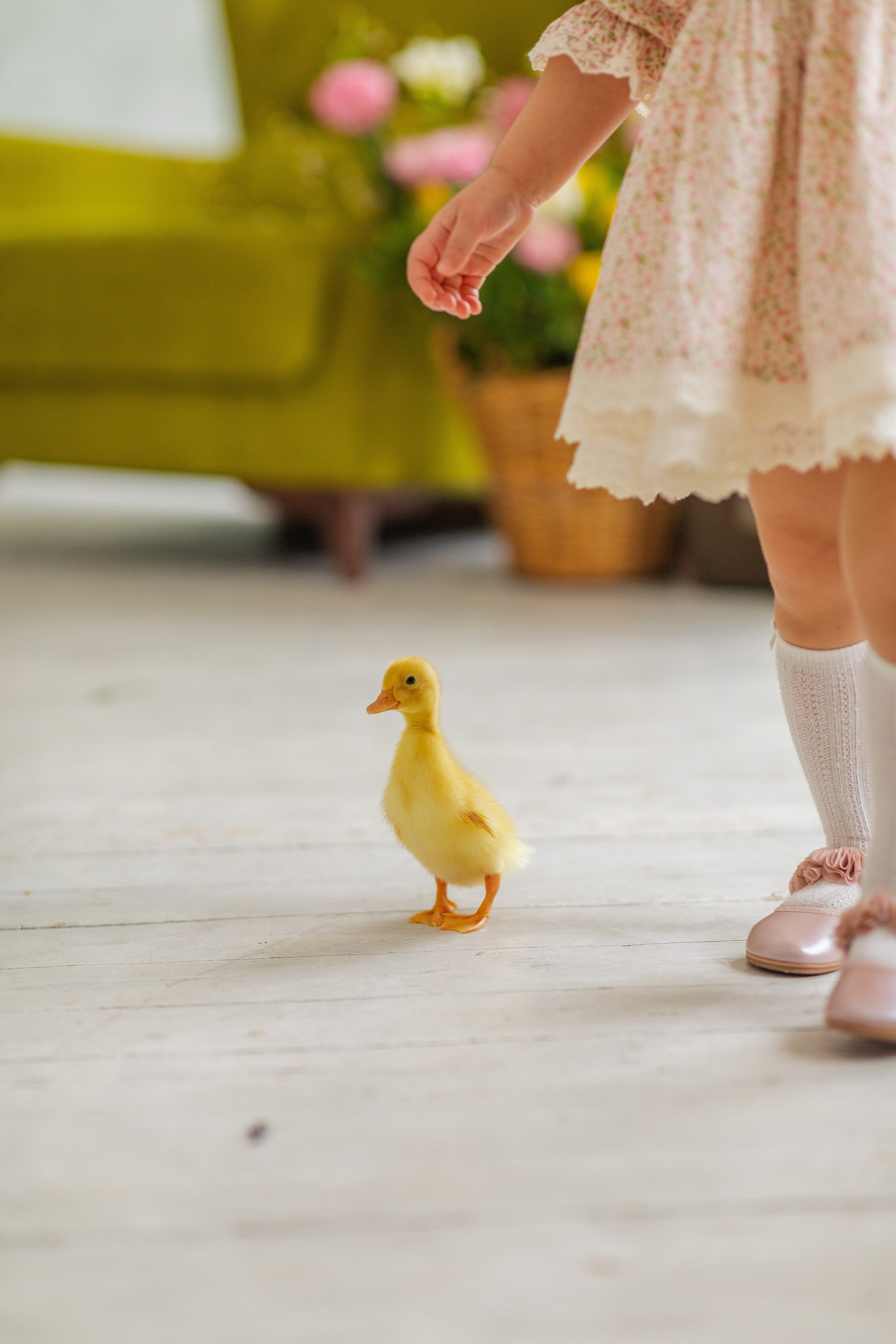 С животными. A.Novinskaya