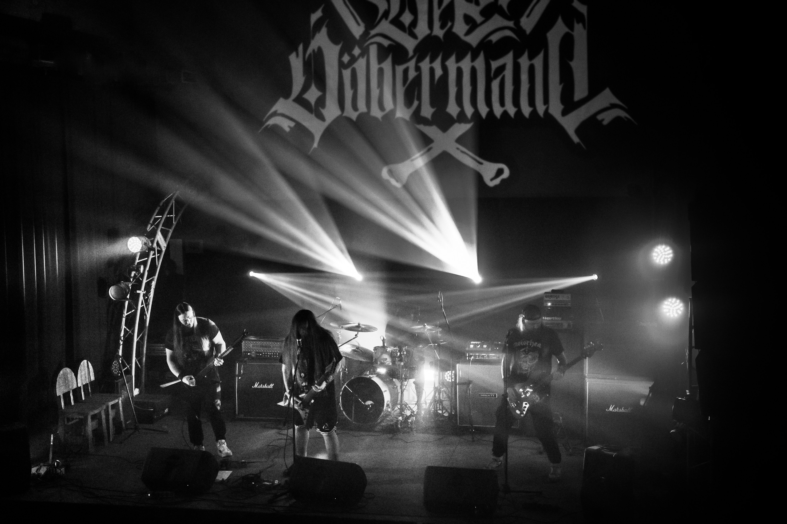 Der Döberman. Фотограф в Санкт-Петербурге Чумаков Семен