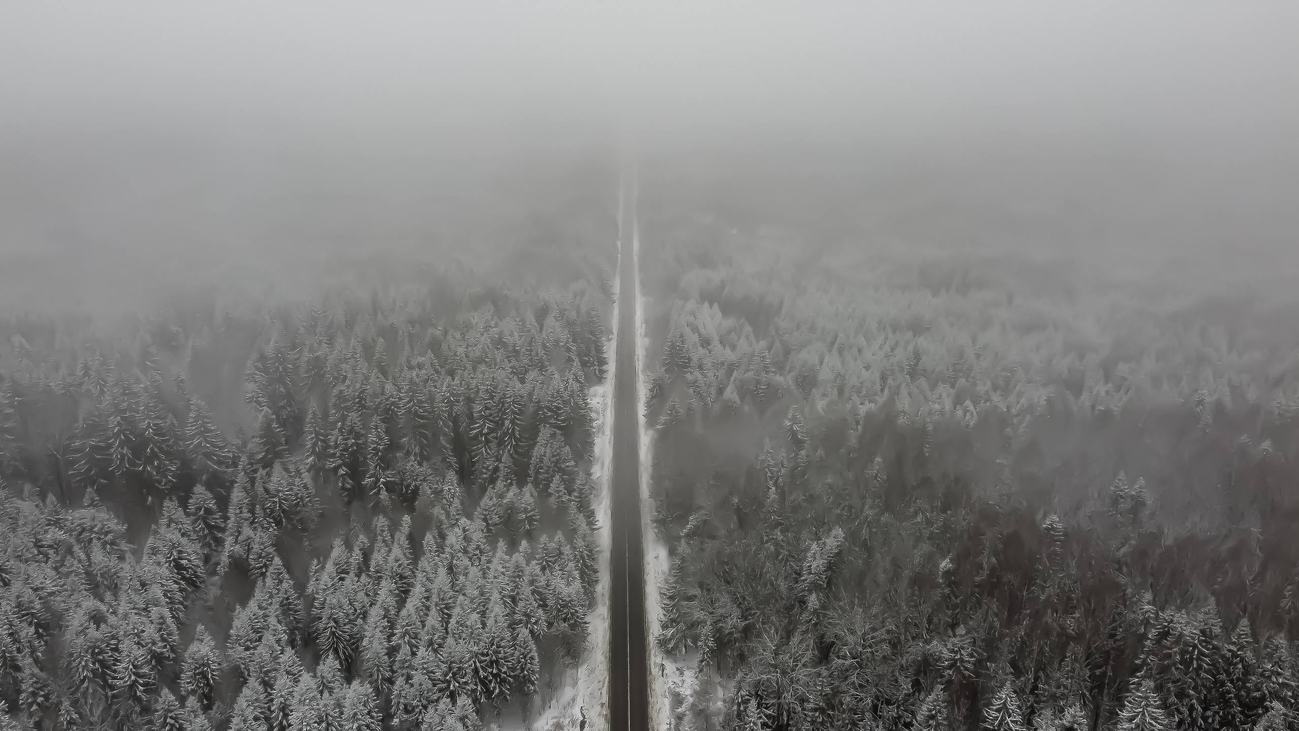 Пейзаж и городские съёмки. Семейный, уличный и пейзажный фотограф в Москве Никифоров Виктор