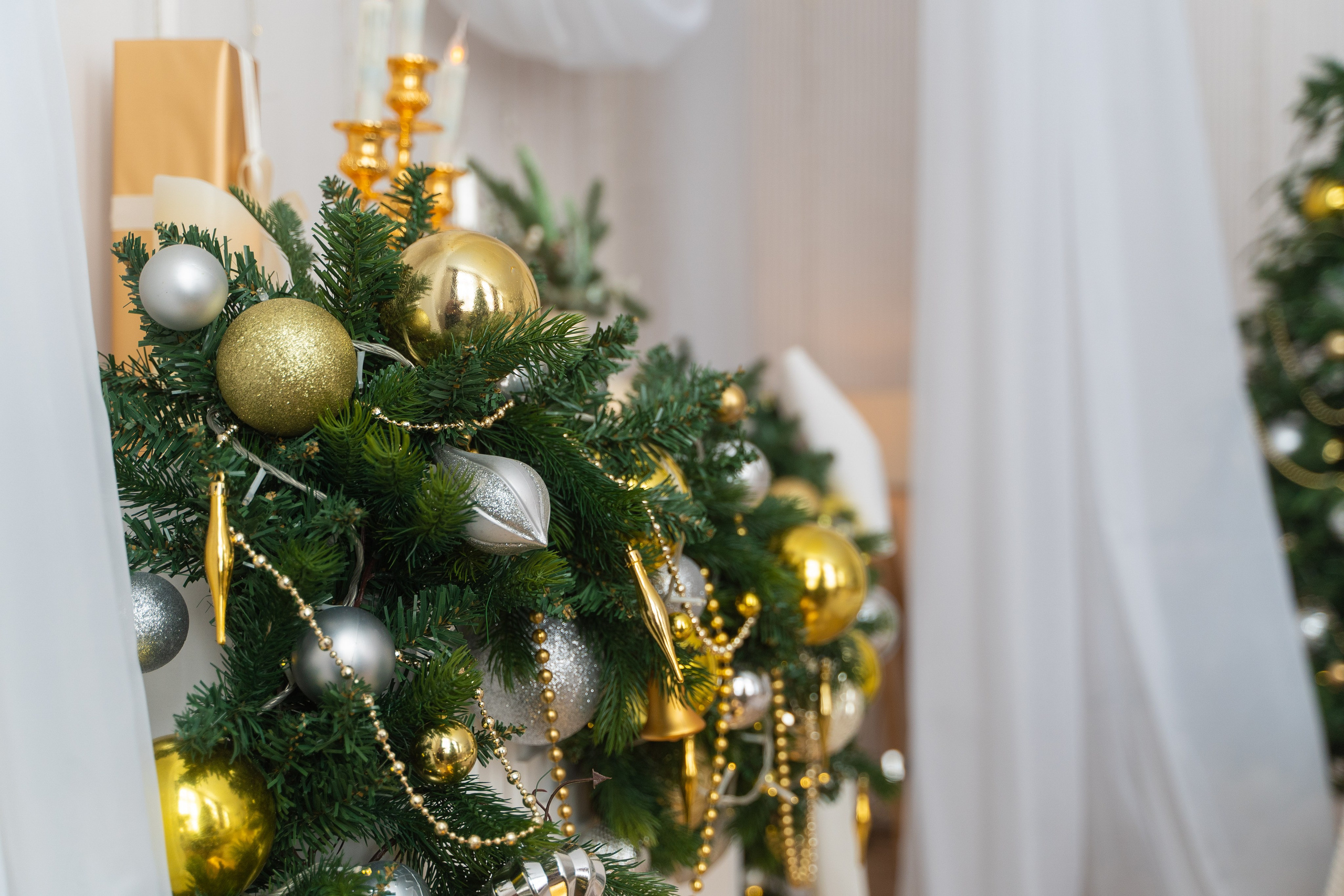 Зал Белый. Фотограф г. Хабаровск. Семейные и индивидуальные съёмки