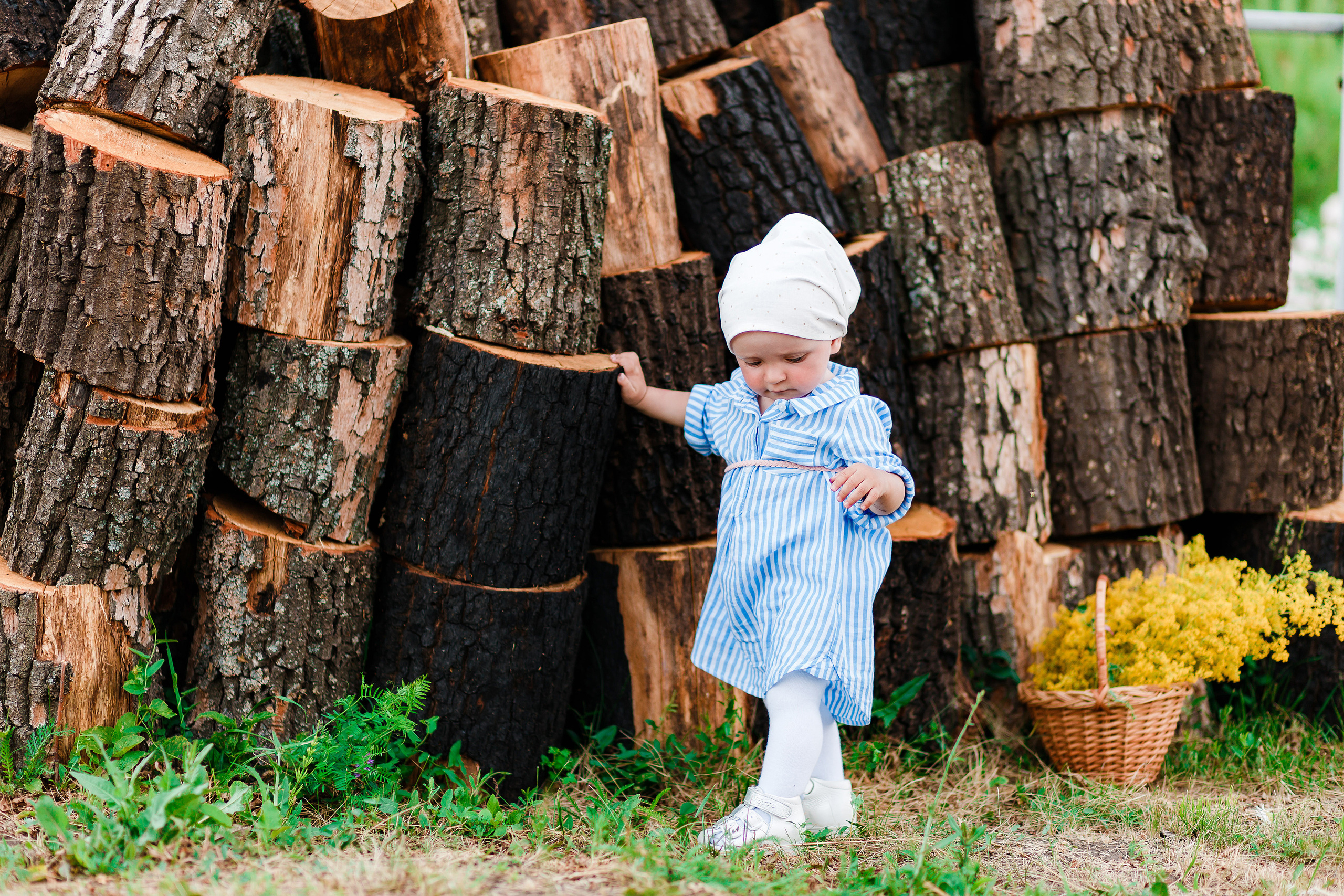 Хвойный сад. Фотограф в Туле и области Константин Гудовичев