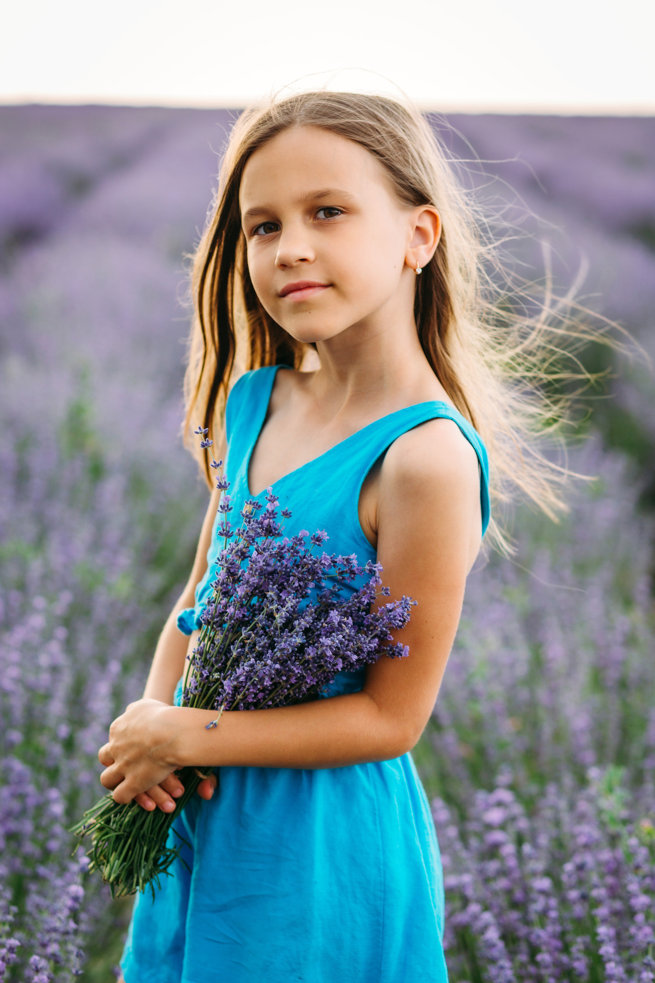 Лавандовые поля. Фотограф в Туле и области Константин Гудовичев