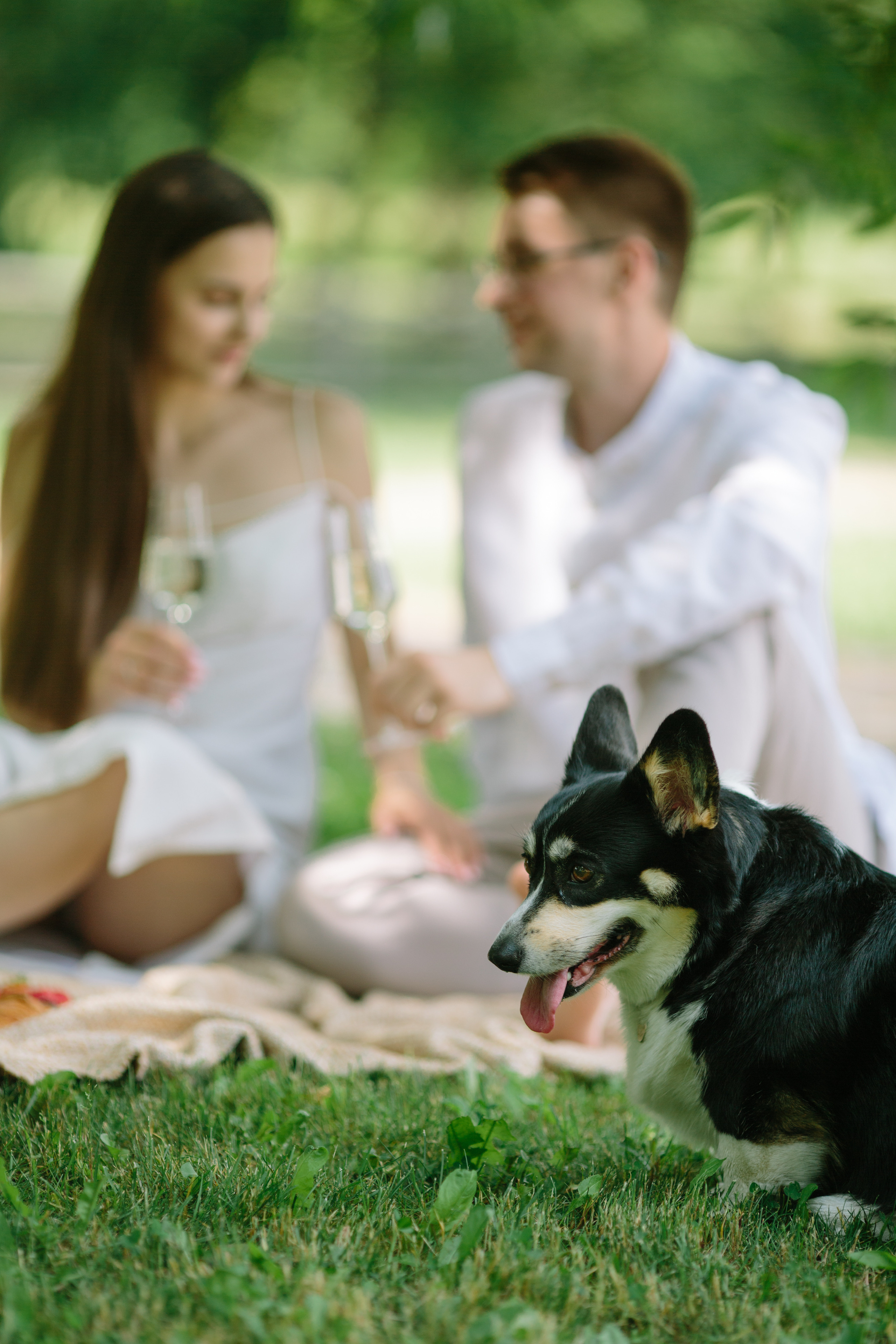Сергей & Юлия. Свадебный фотограф Гомель