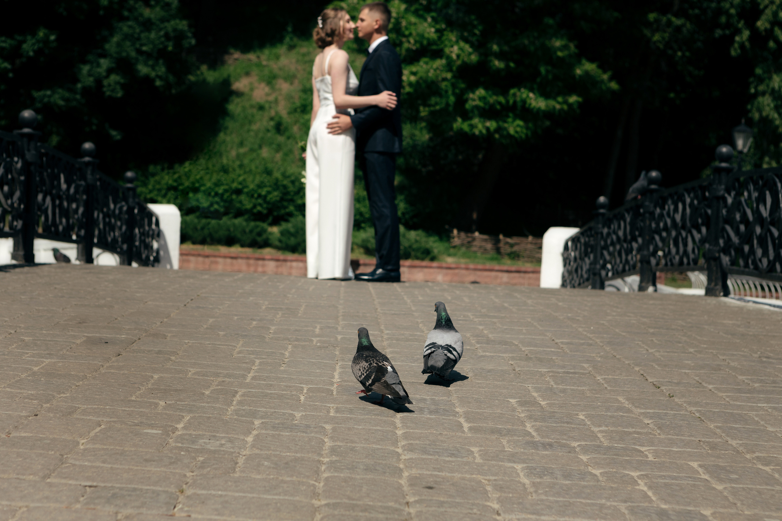 Артур & Русалина. Свадебный фотограф Гомель