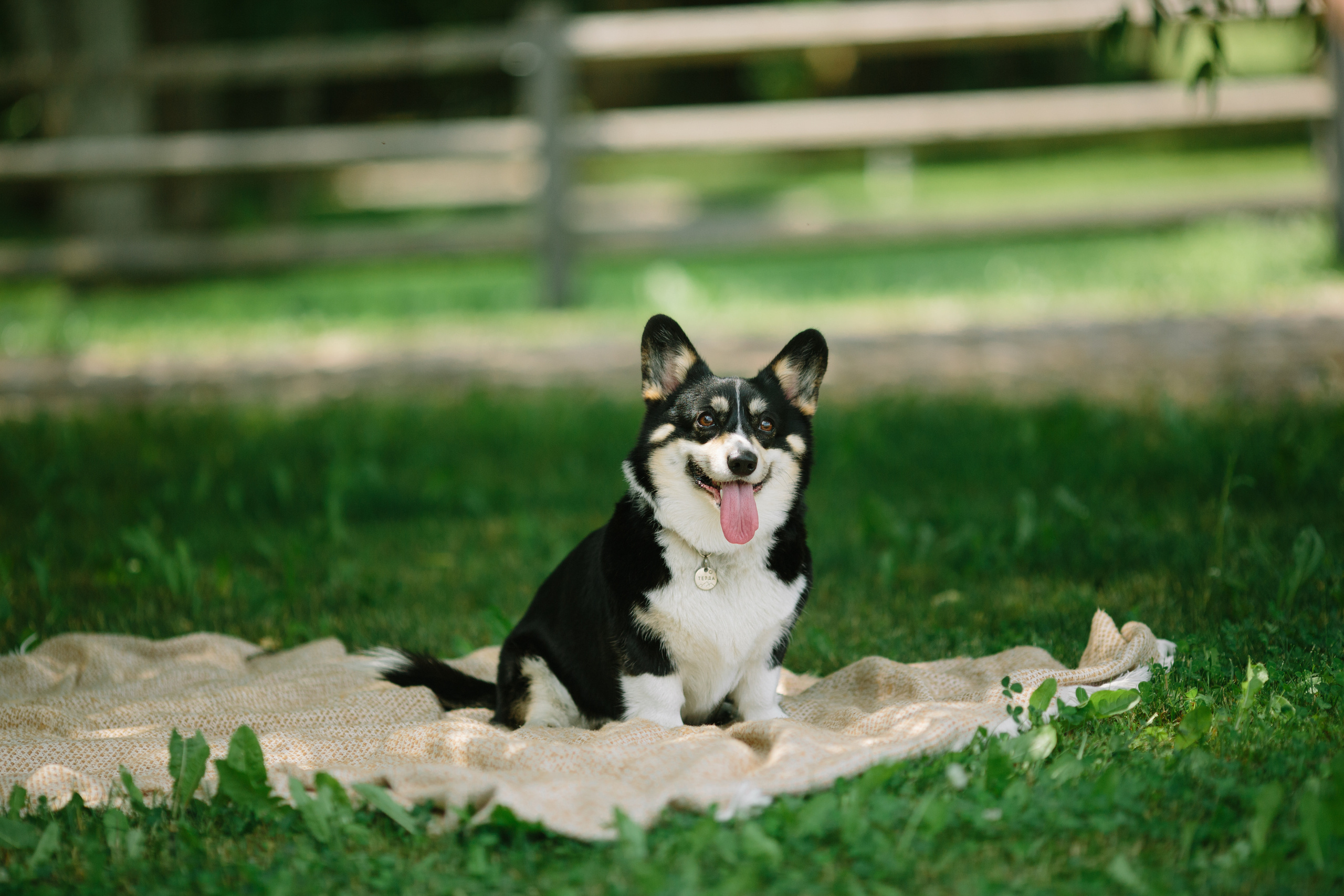 Сергей & Юлия. Свадебный фотограф Гомель