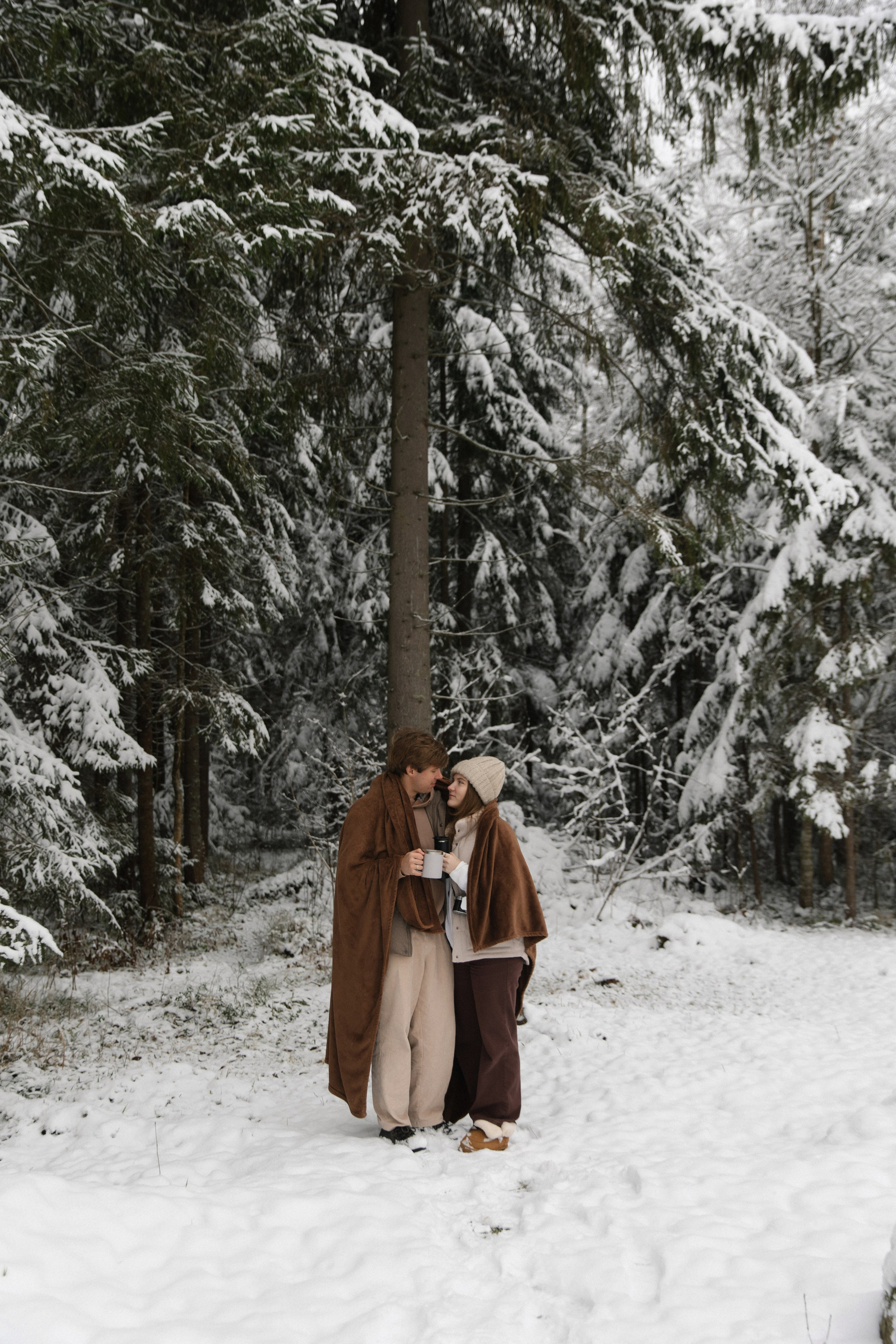 «ЗИМНИЙ ЛЕС». Maria Startseva Photo