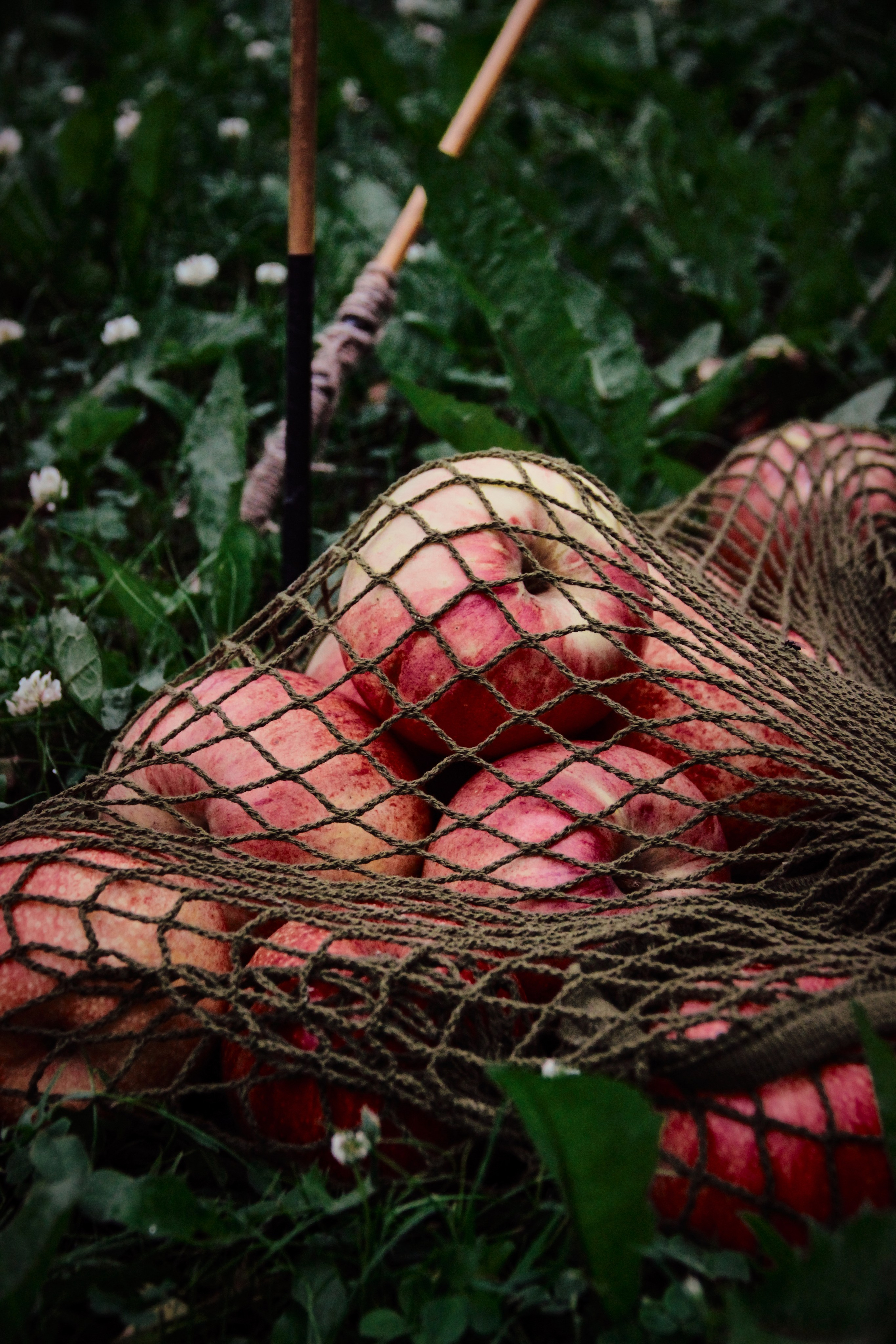 «Фестиваль традиционных русских ценностей» (5.07.2025 г.). Фотограф: IRINA K