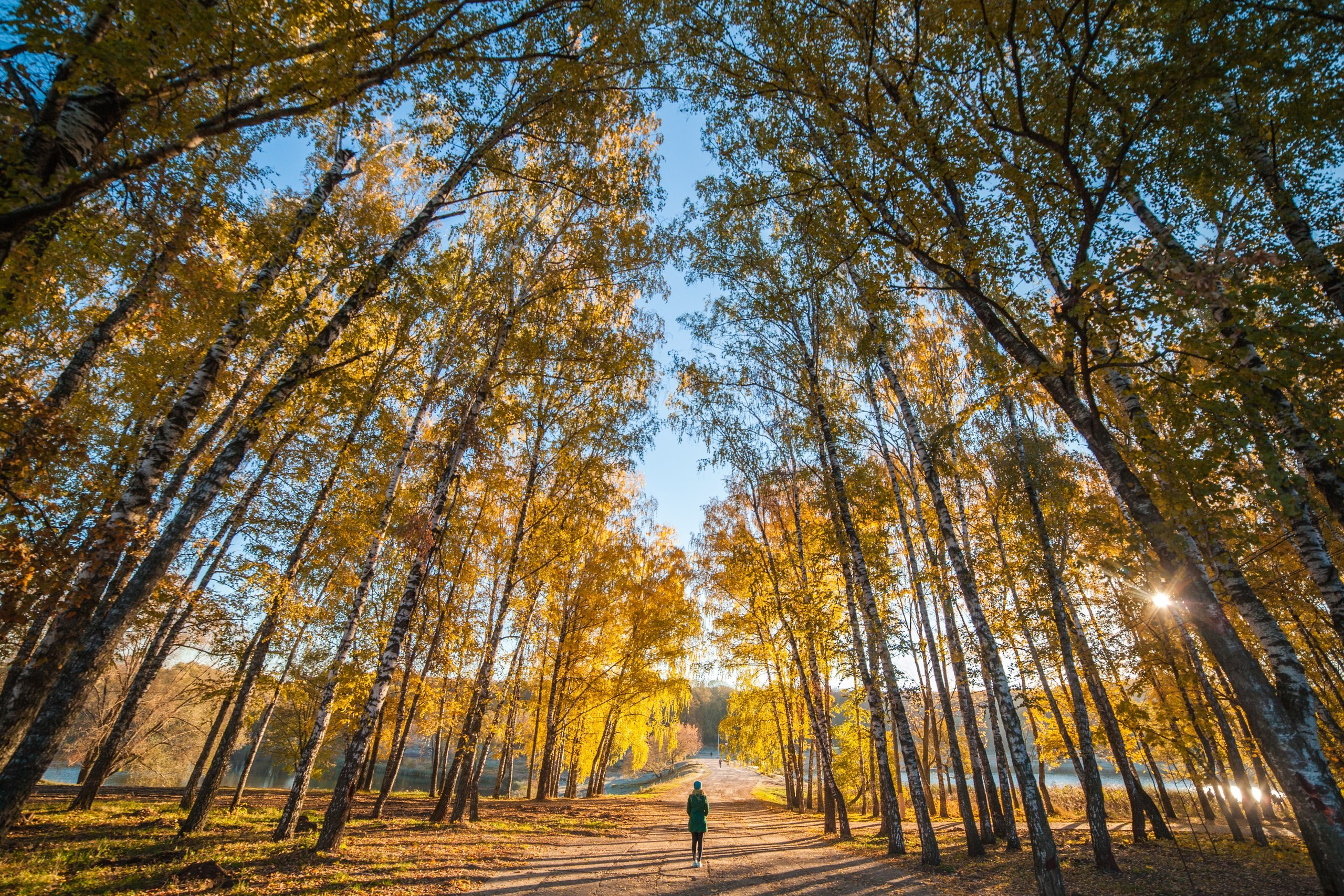 Тула. Репортажный фотограф Алексей Пирязев