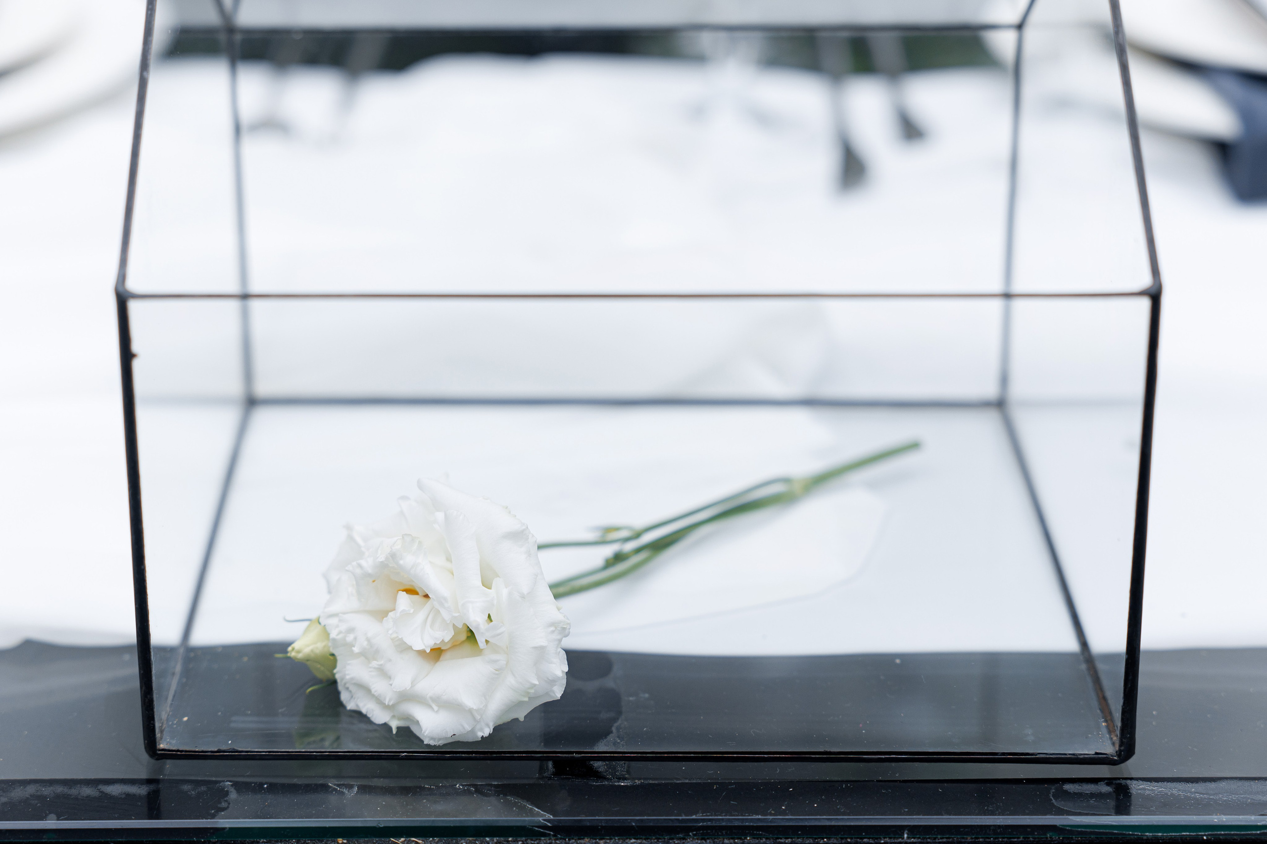 R&D. Свадебный репортажный фотограф в Москве