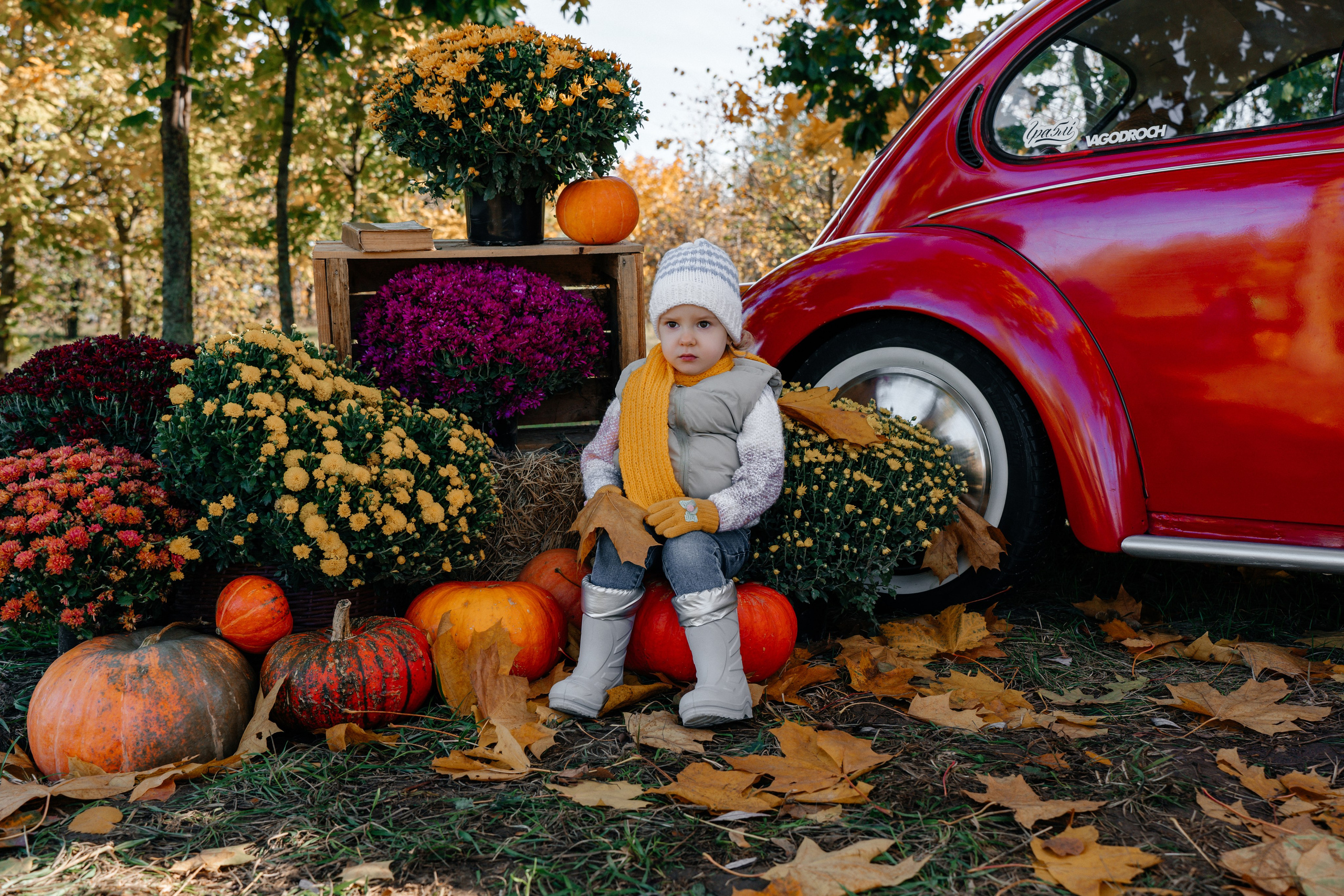 Ослепительная осень в кадре. Ваш семейный фотограф в Минске — Вика Трегубова