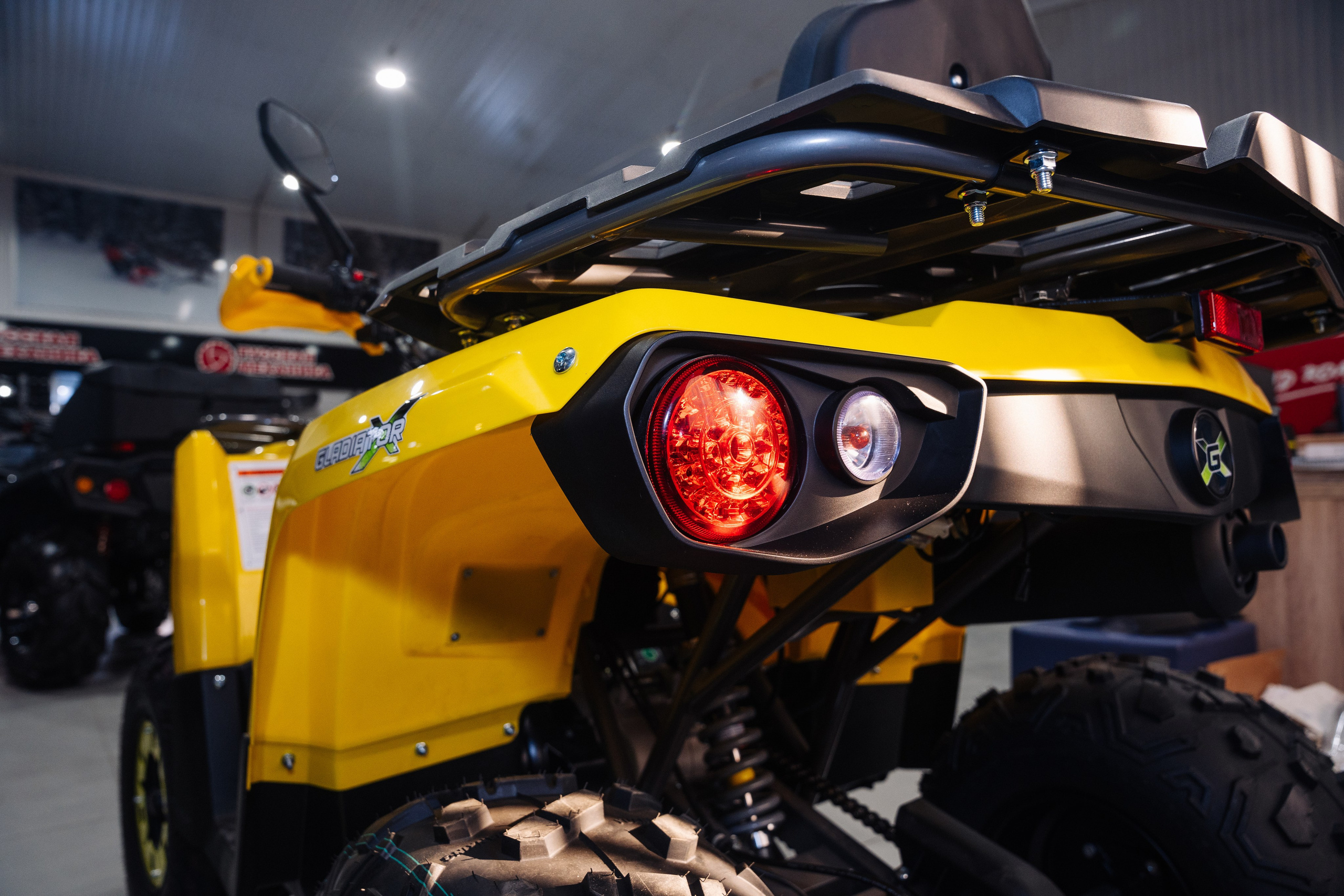 GLADIATOR. Фотограф Хабаровск