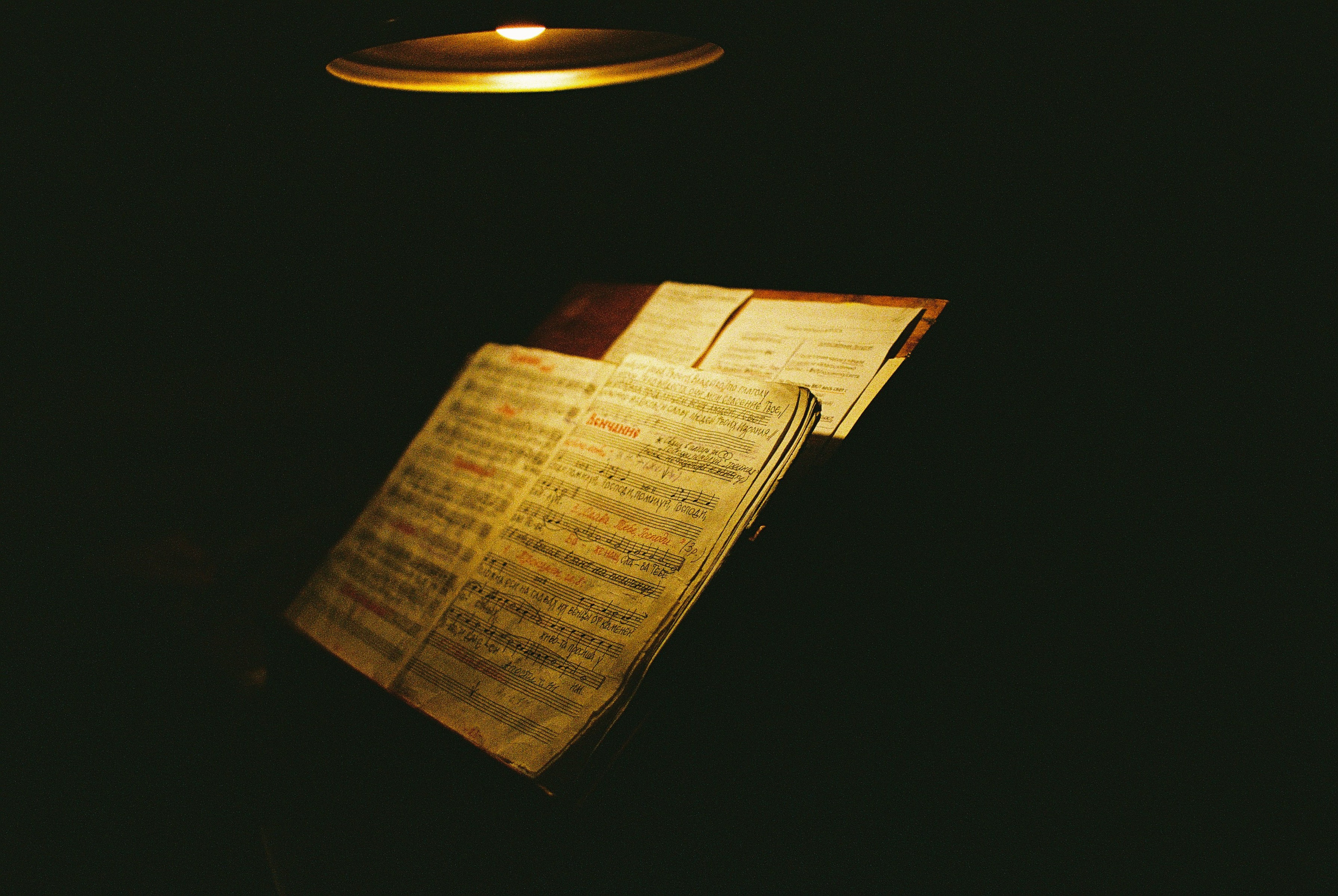 Пленка. Фотограф Ирина Гринько Тольятти Самара Москва