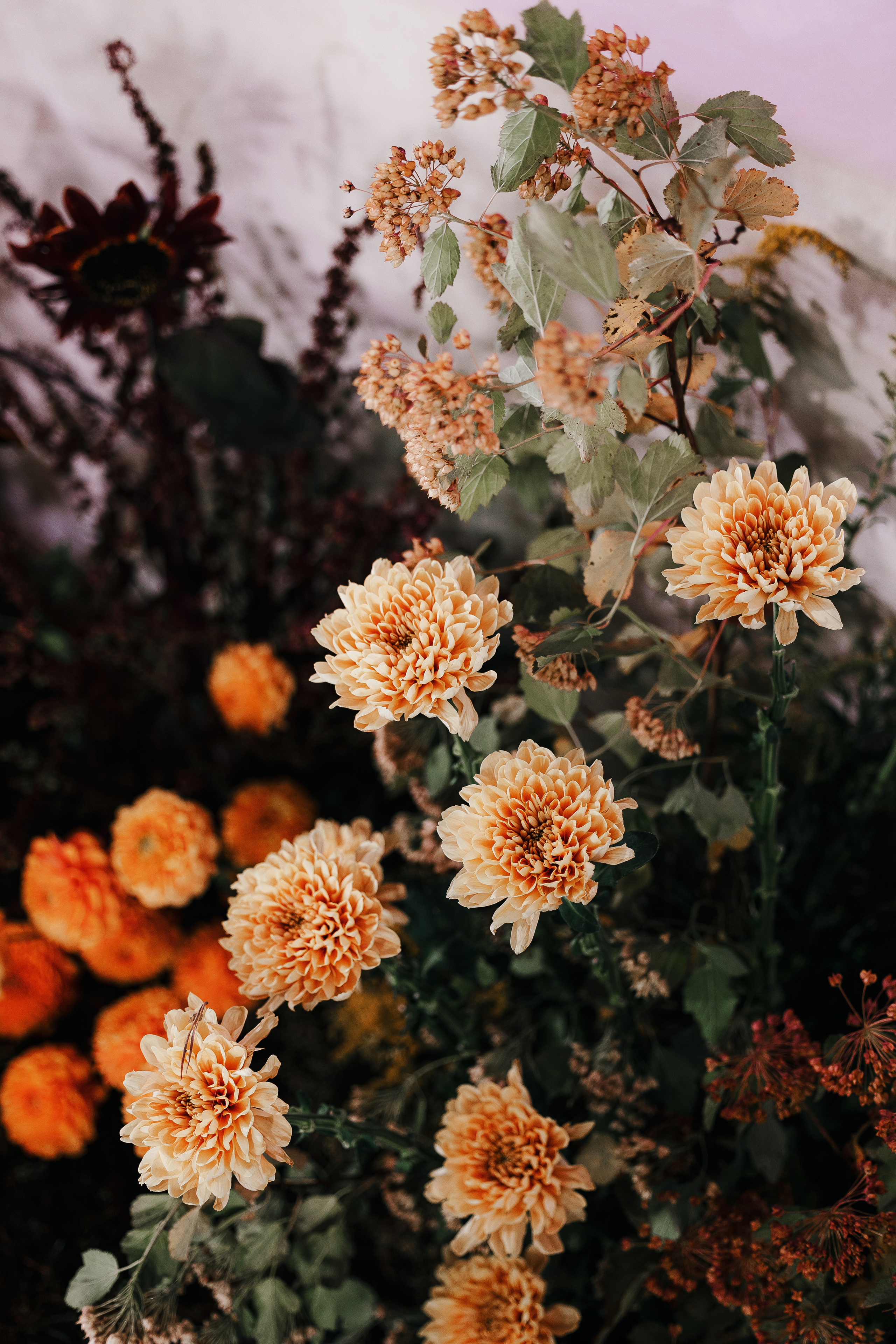 A la ruse. VENSKAYA WEDDING & EVENT PLANNER