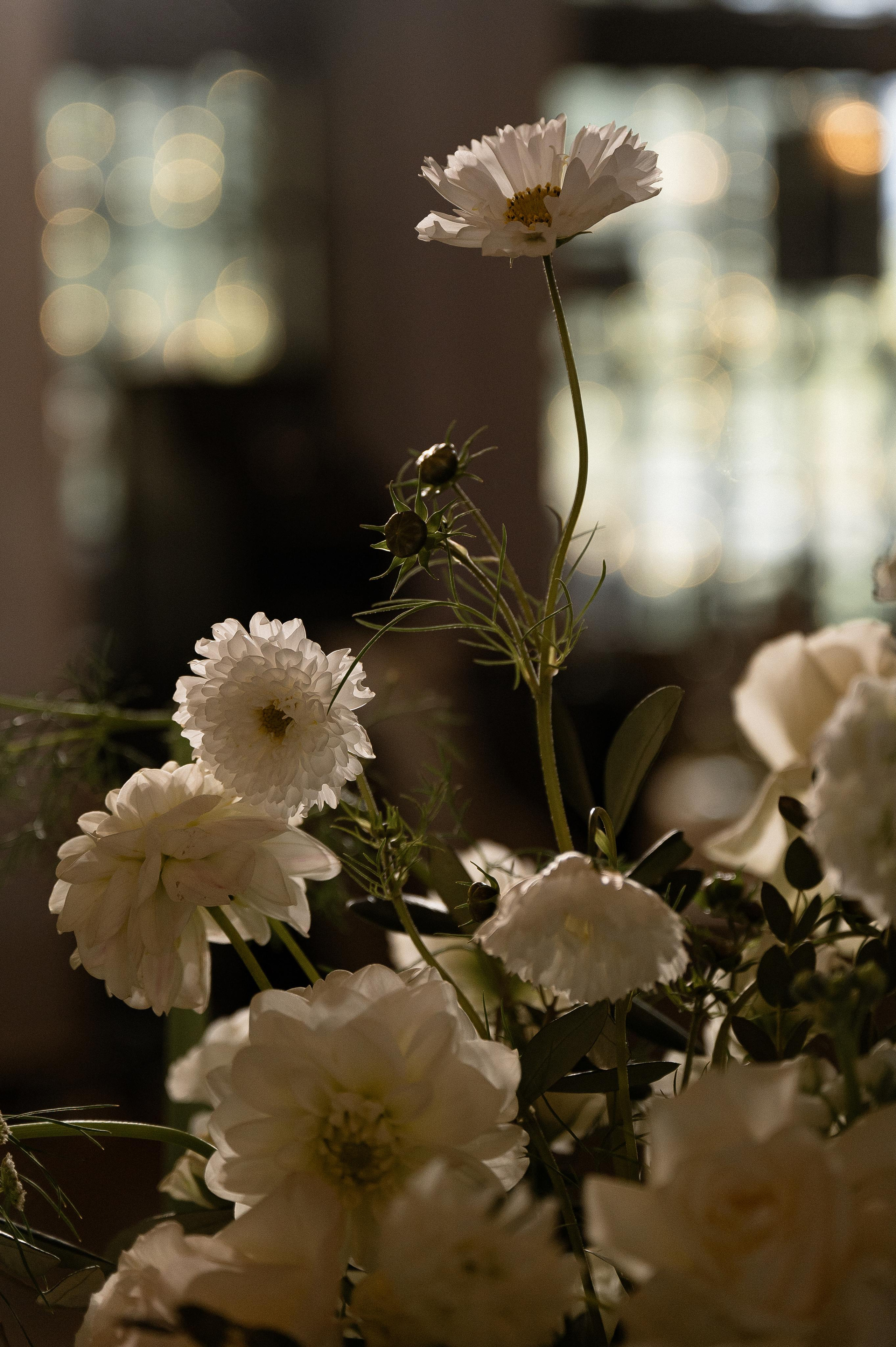 Большая греческая свадьба. VENSKAYA WEDDING & EVENT PLANNER