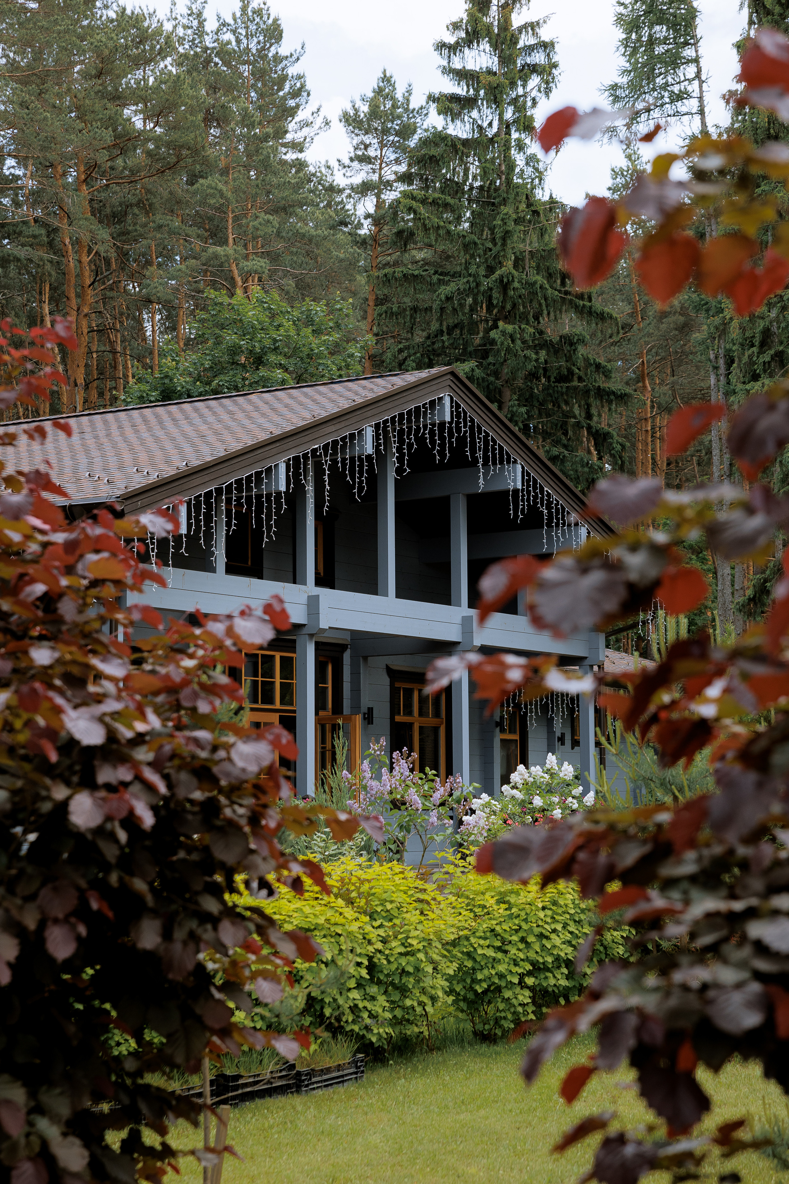 You are my kinder surprise. VENSKAYA WEDDING & EVENT PLANNER