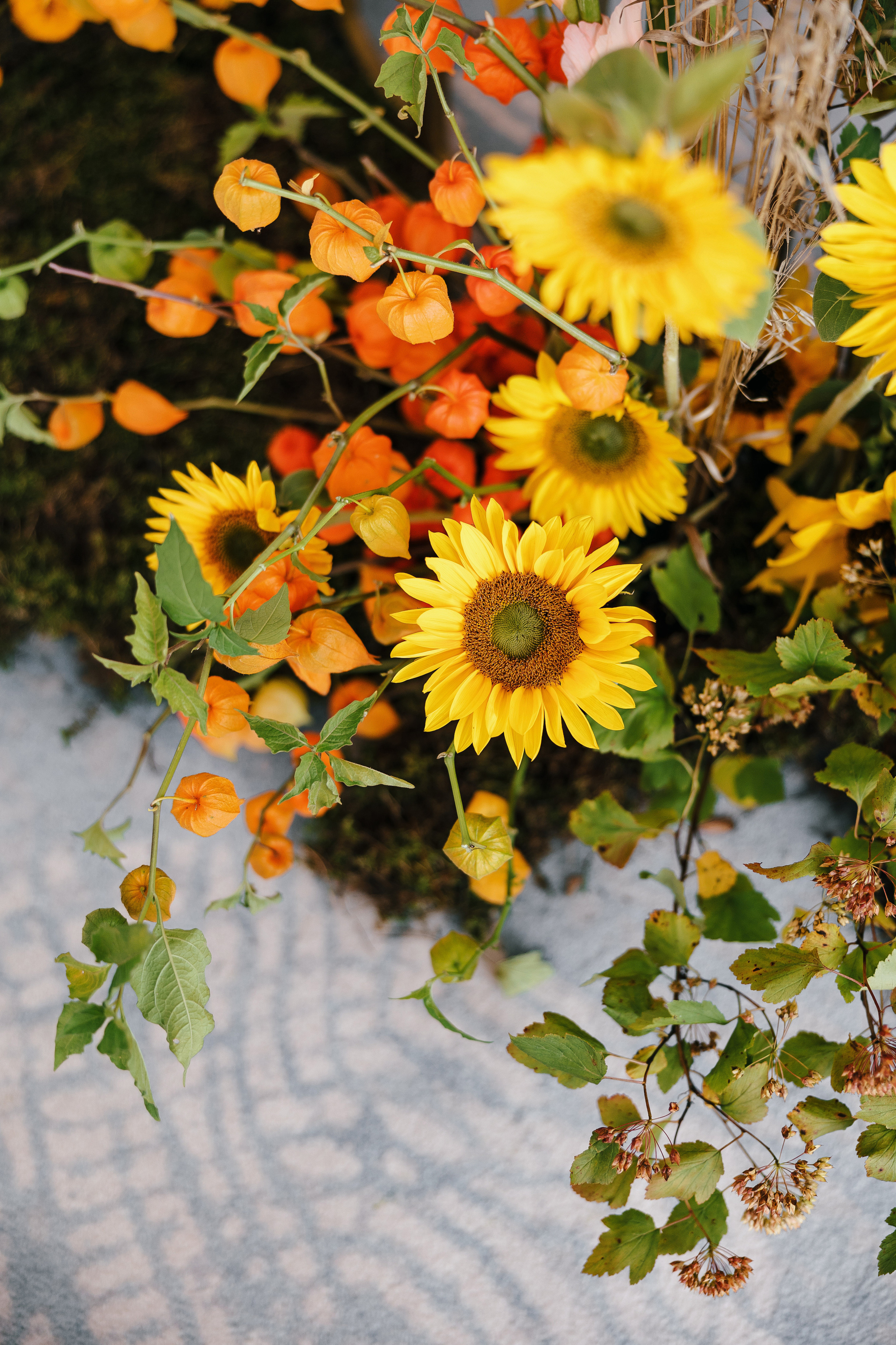 A la ruse. VENSKAYA WEDDING & EVENT PLANNER