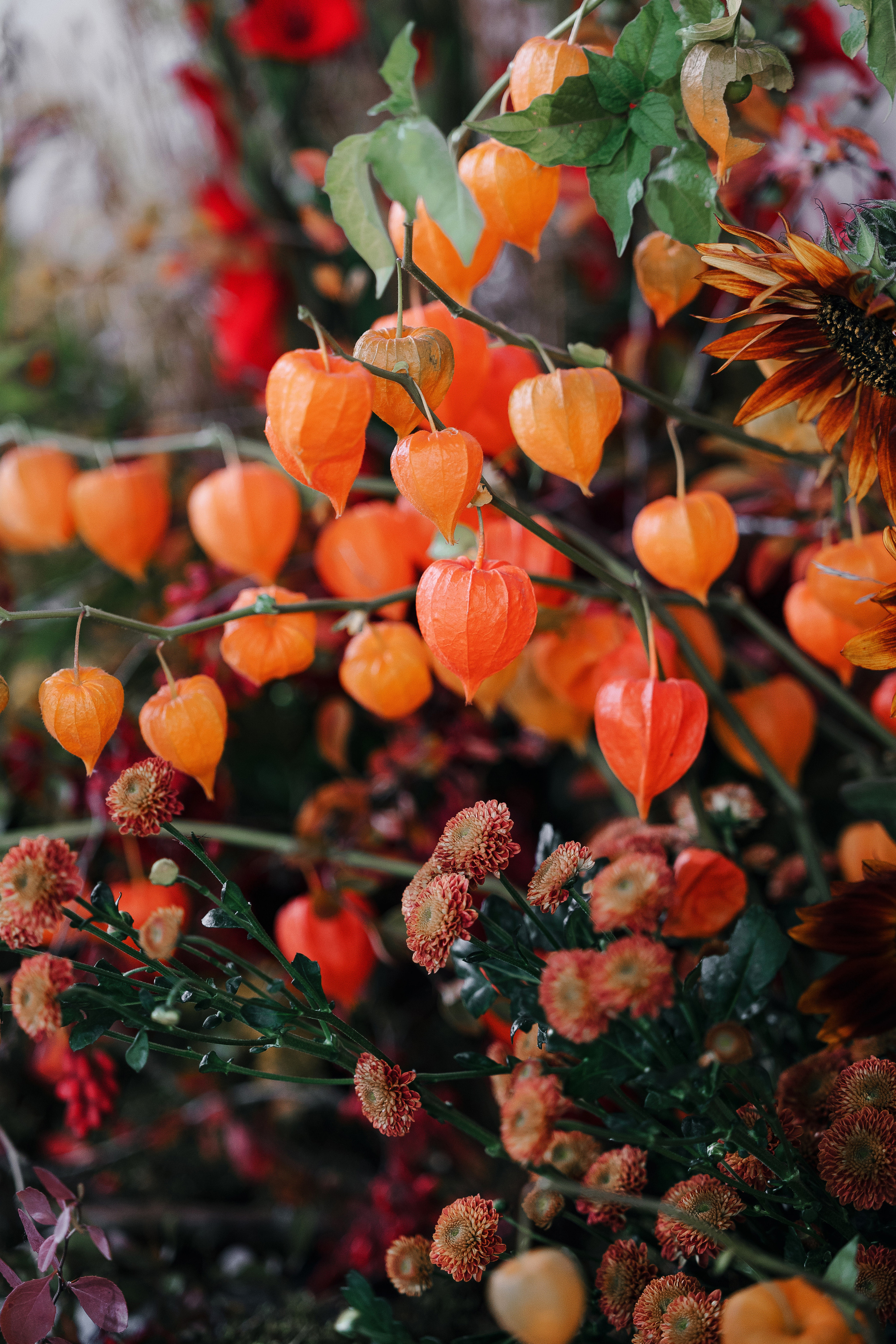 A la ruse. VENSKAYA WEDDING & EVENT PLANNER