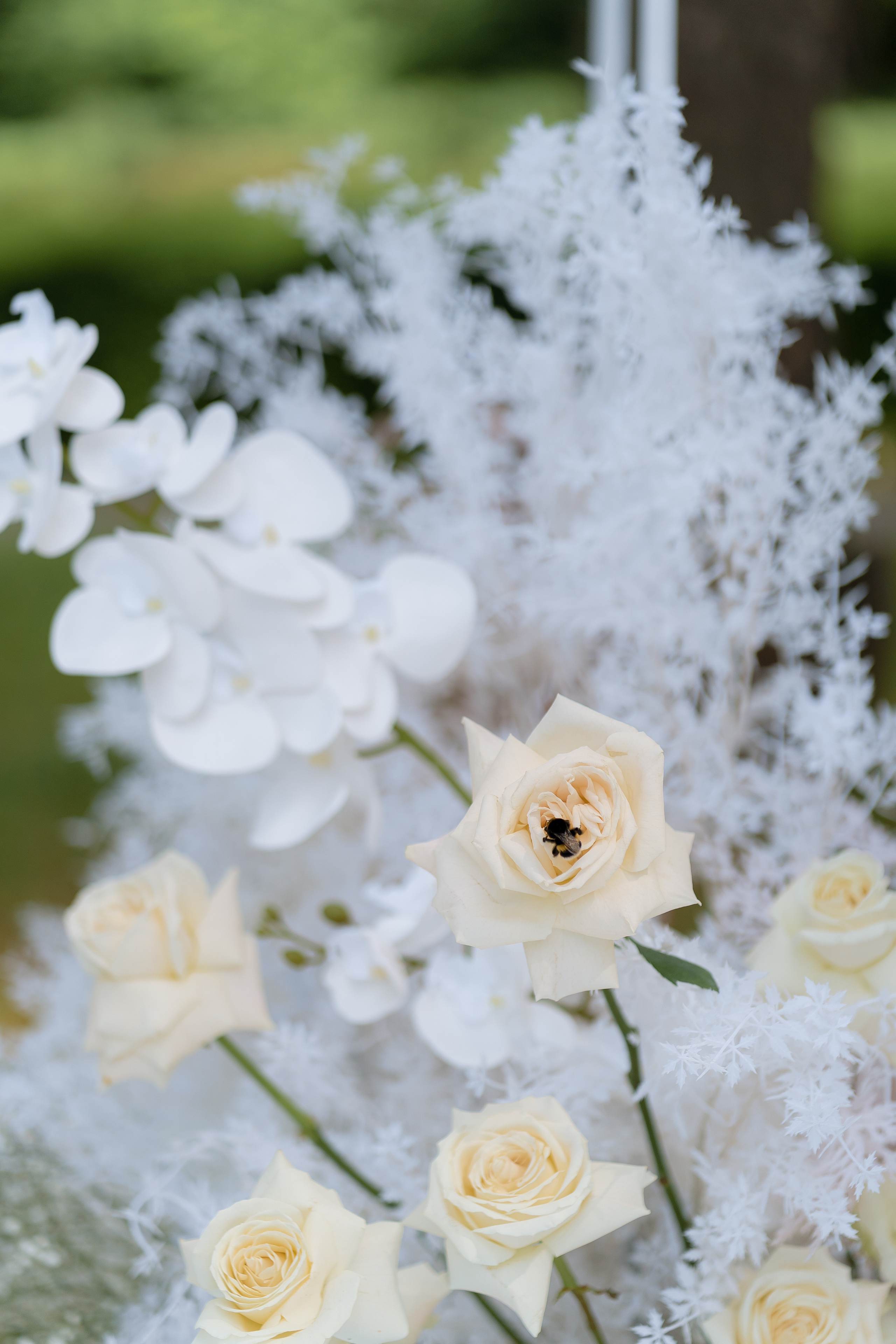 You are my kinder surprise. VENSKAYA WEDDING & EVENT PLANNER