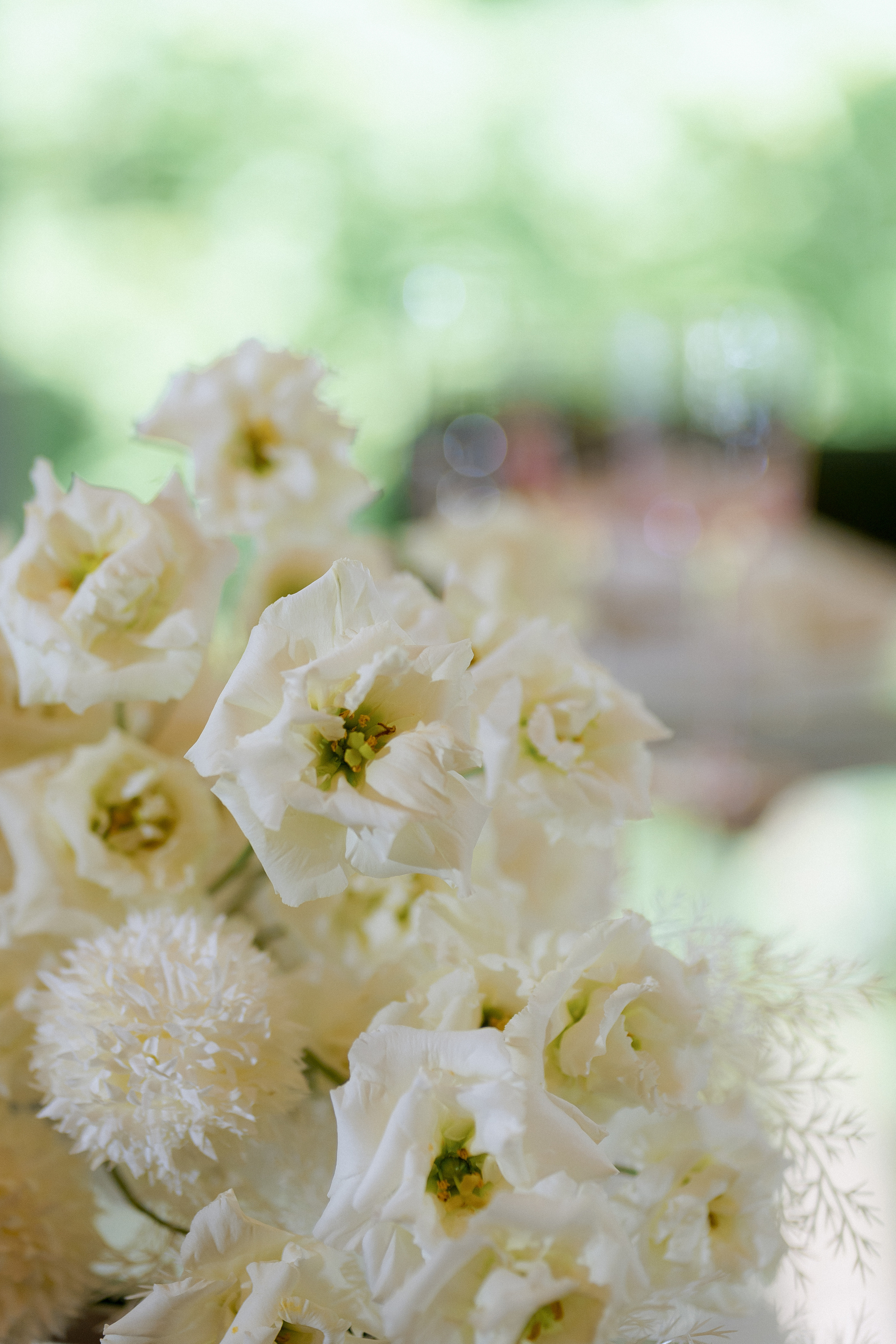 You are my kinder surprise. VENSKAYA WEDDING & EVENT PLANNER