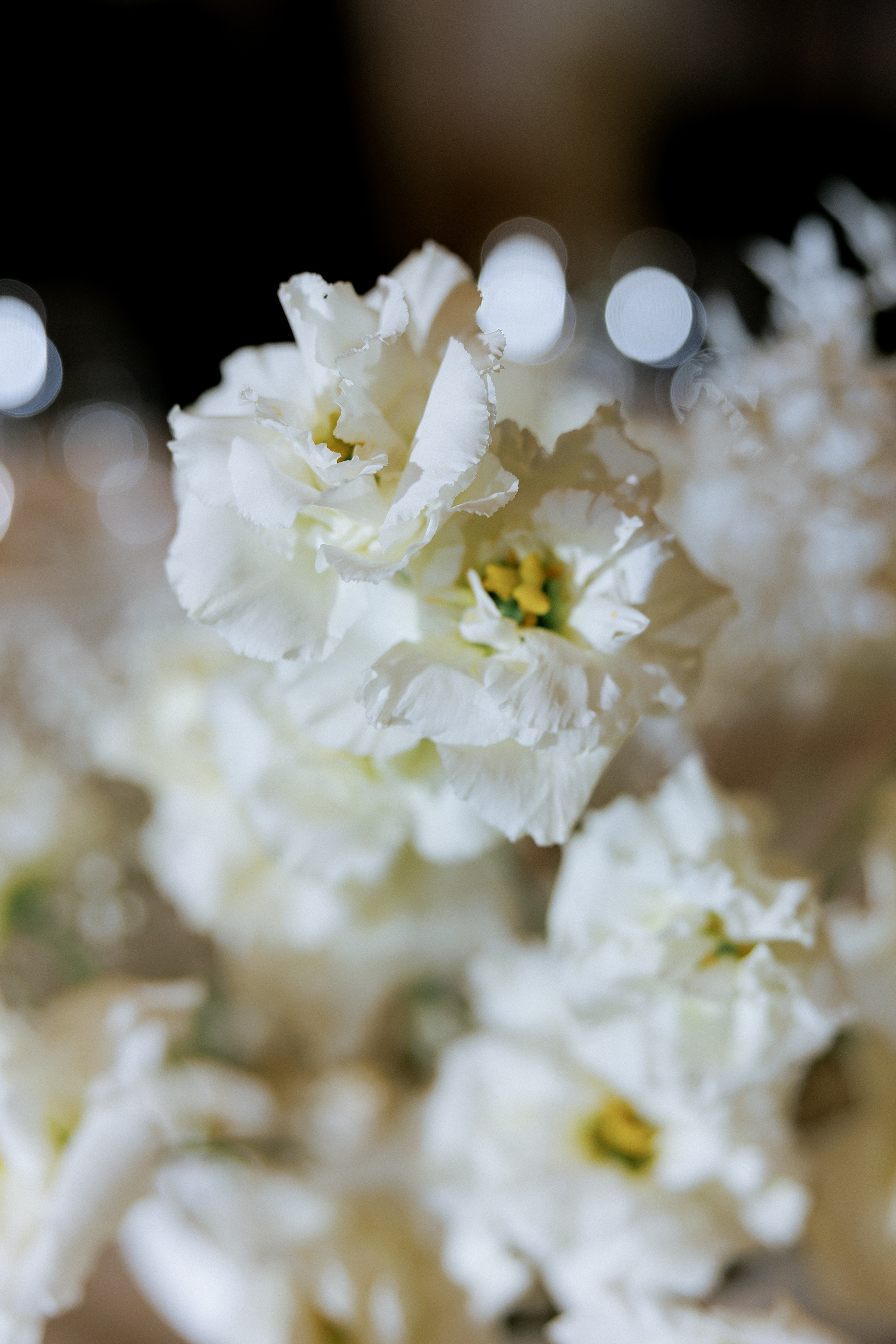 You are my kinder surprise. VENSKAYA WEDDING & EVENT PLANNER