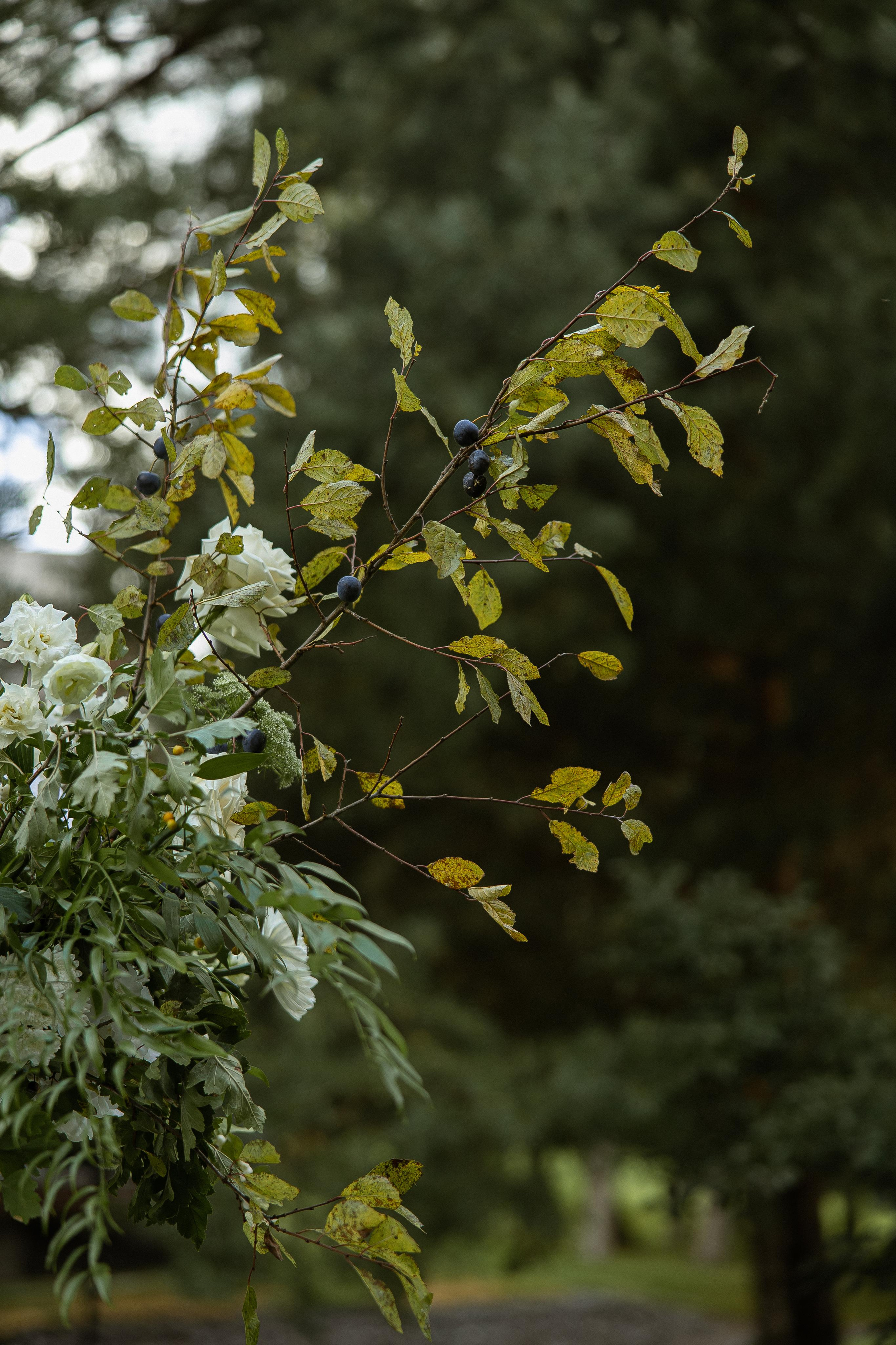 Большая греческая свадьба. VENSKAYA WEDDING & EVENT PLANNER