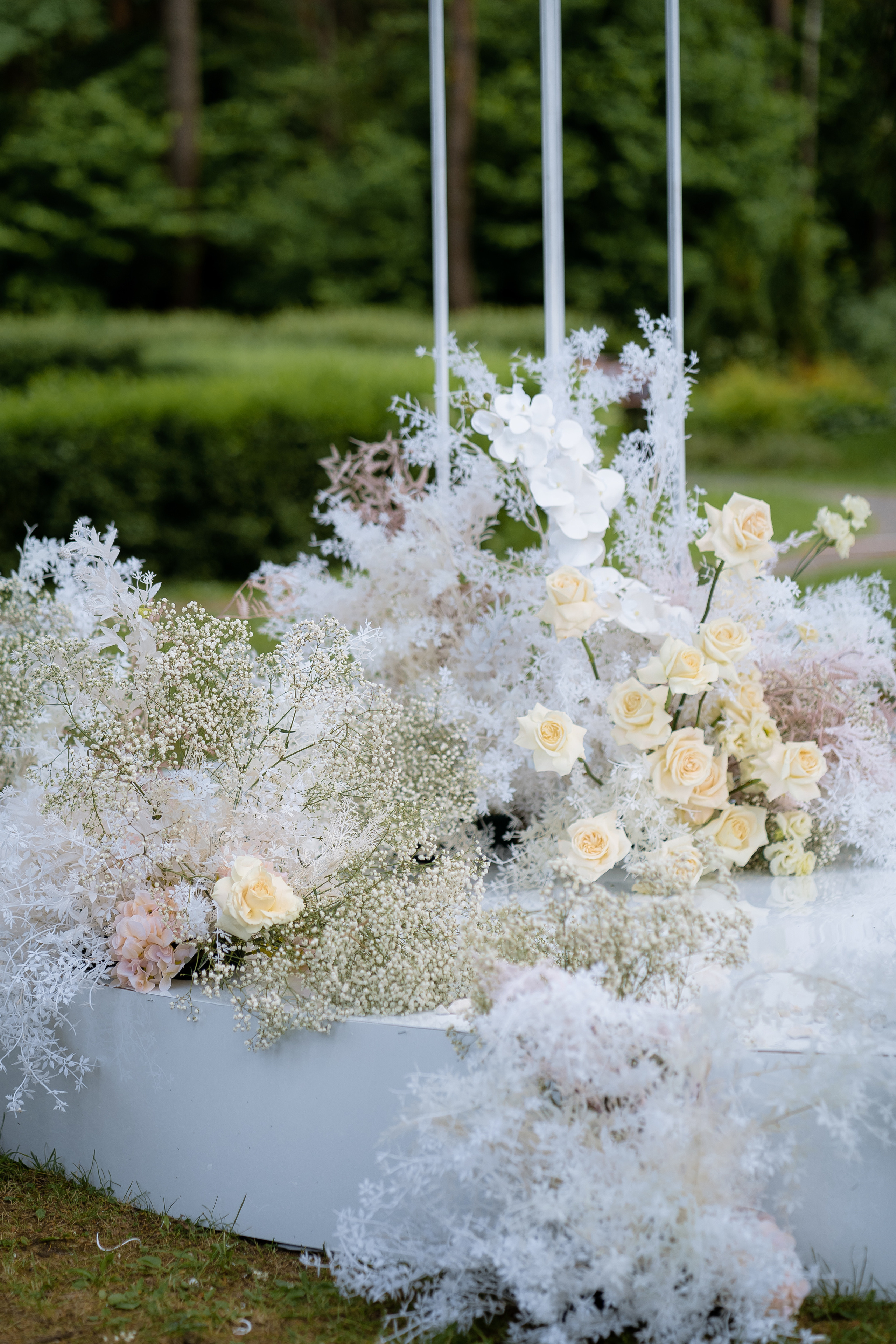 You are my kinder surprise. VENSKAYA WEDDING & EVENT PLANNER