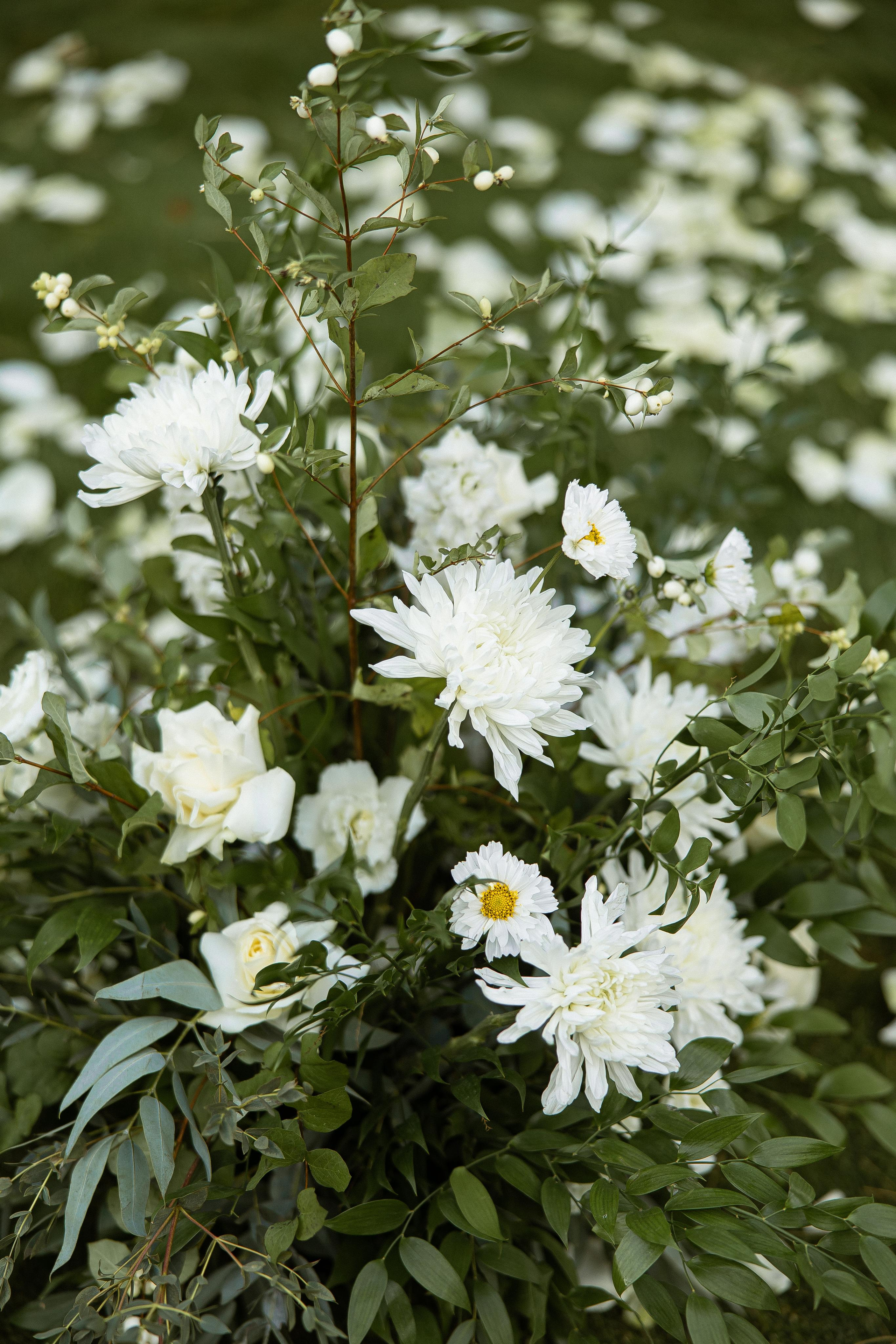 Большая греческая свадьба. VENSKAYA WEDDING & EVENT PLANNER