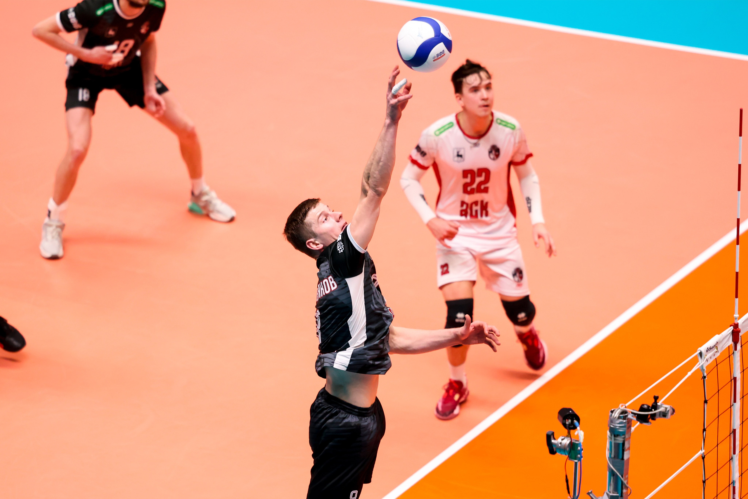 ВК Зенит — ВК АСК 15.03.2025. Спортивный и репортажный фотограф Антон Тереханов