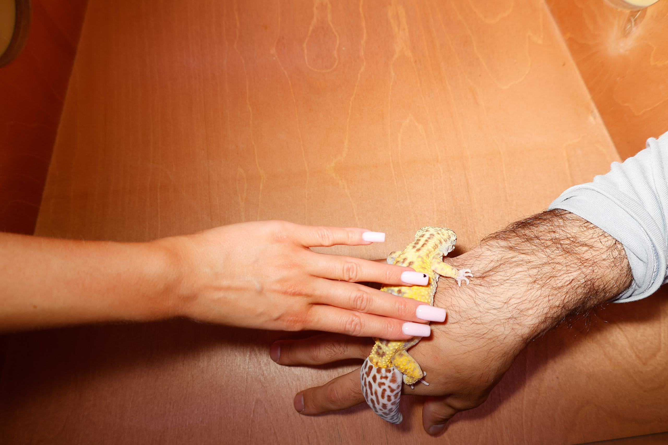 АЛЛА БРУЛЕТОВА. Nikolskayasecular