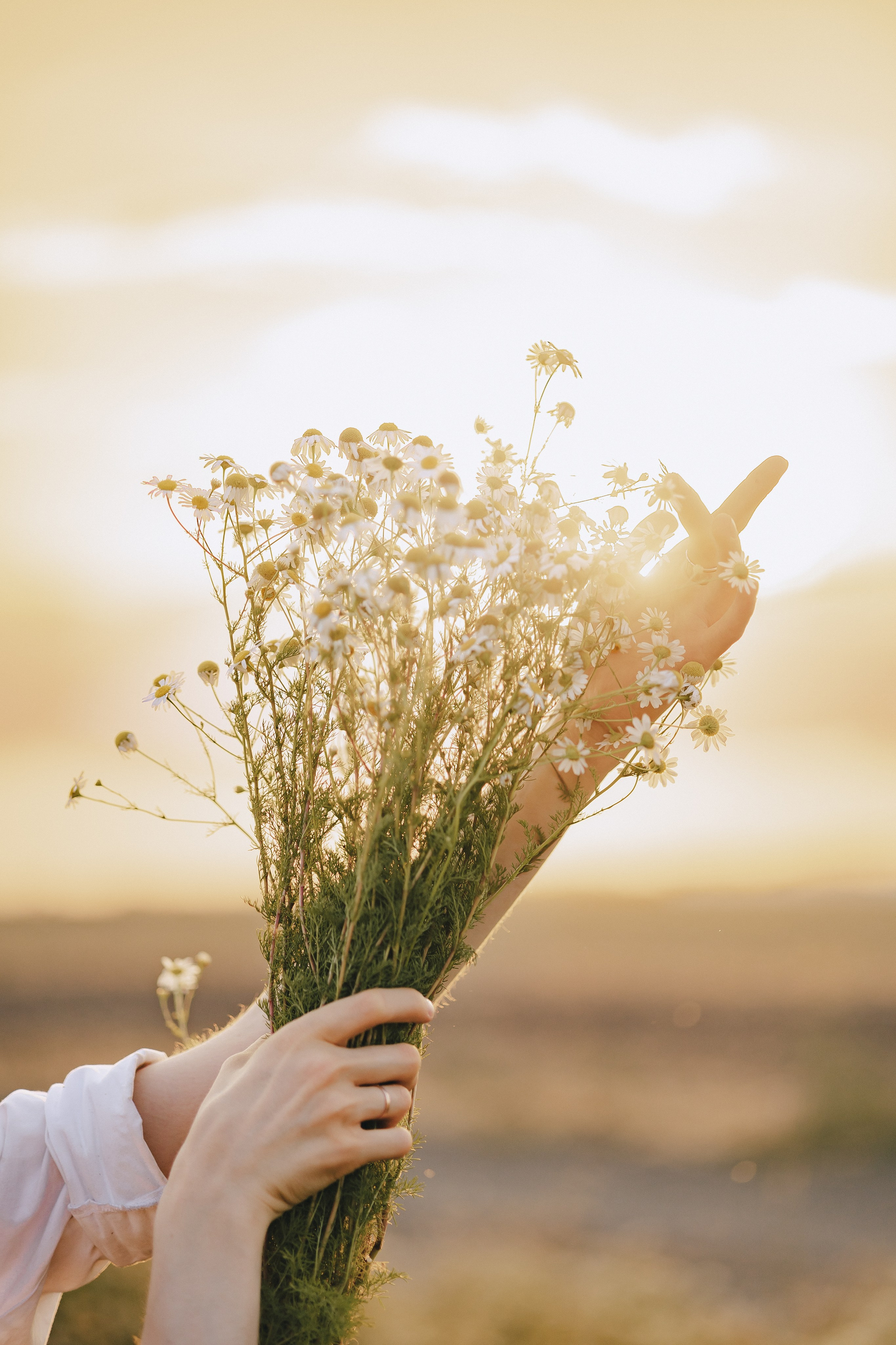 Аня. Фотограф Таганрог Любимая Надя