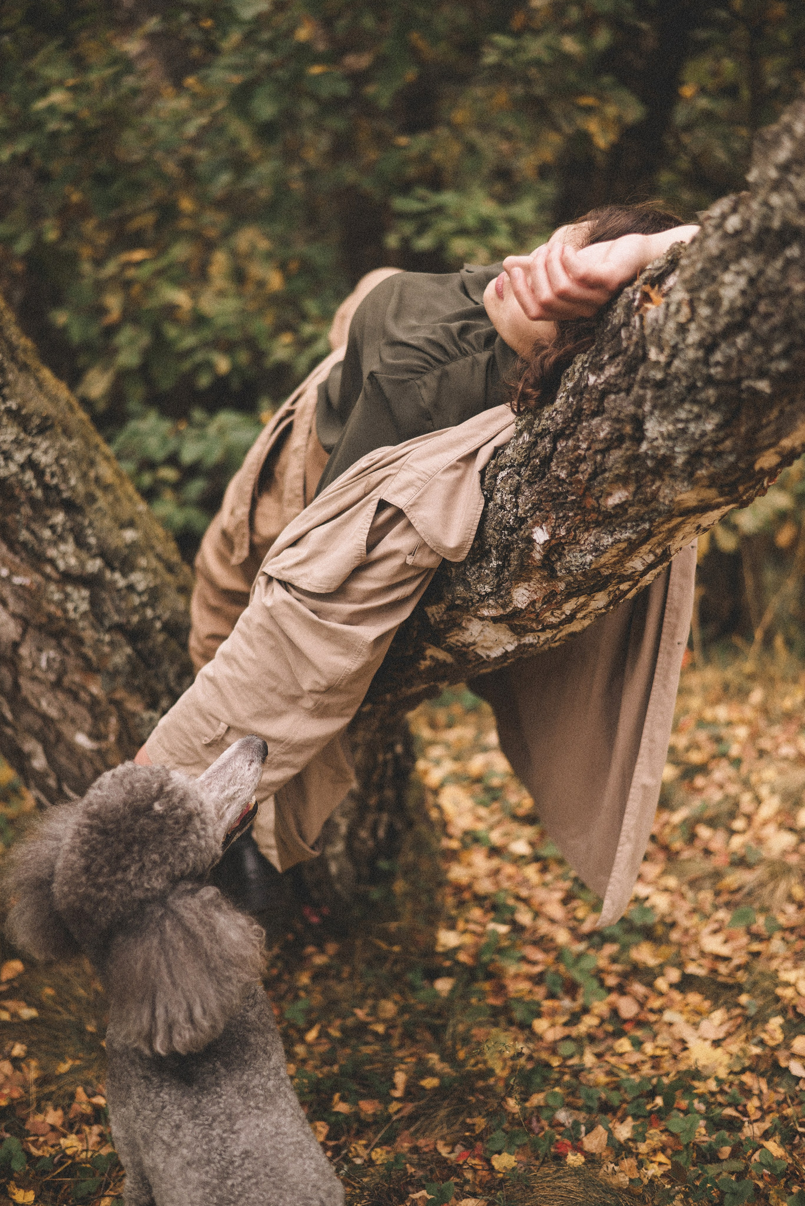 Алёна и Смоки. Фотограф-анималист Богданова Полина