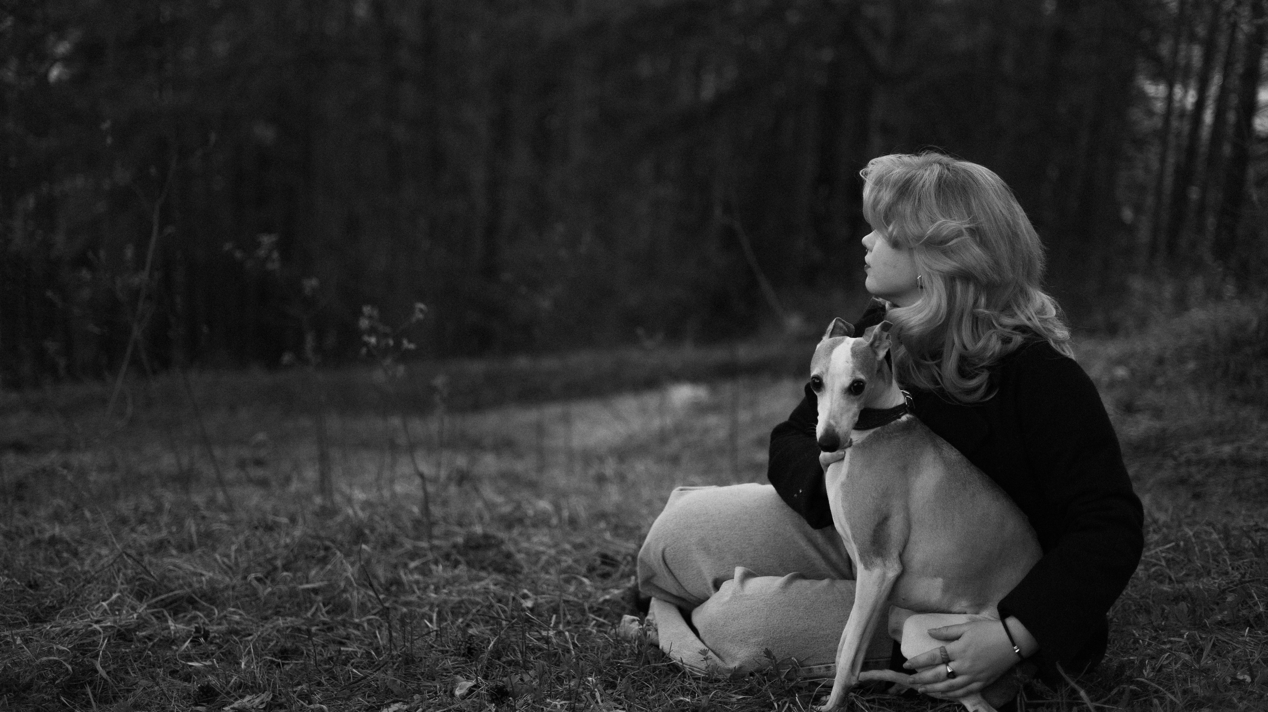 Вика, Джем и Белла. Фотограф-анималист Богданова Полина