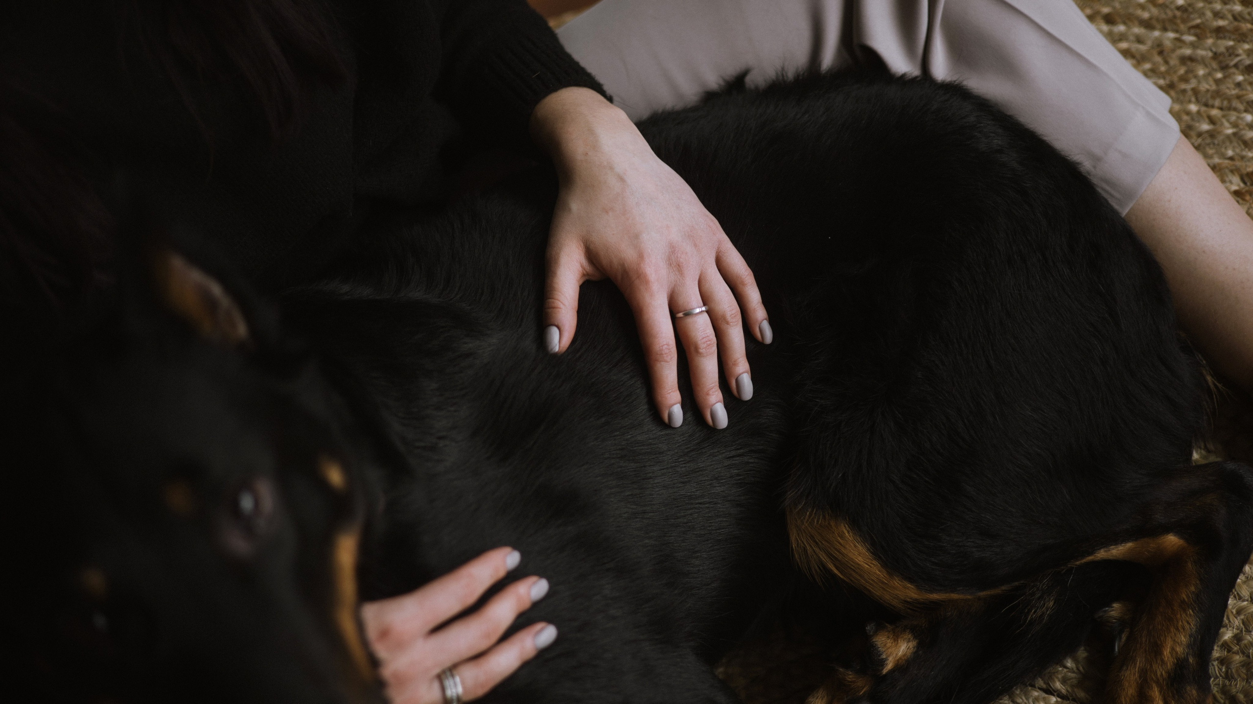 Полина и Зевс. Фотограф-анималист Богданова Полина