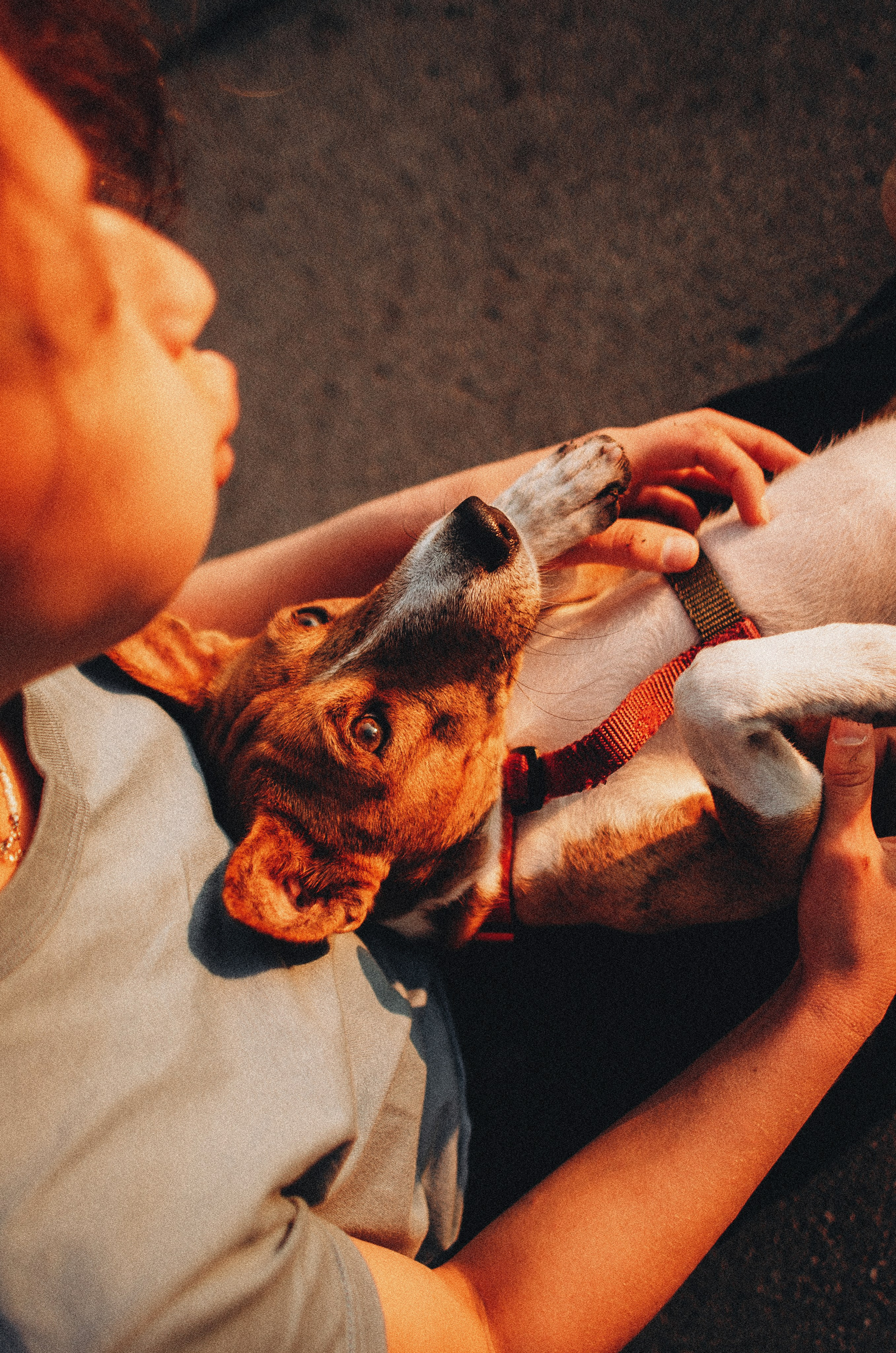 Снежана и Мэнни. Фотограф-анималист Богданова Полина