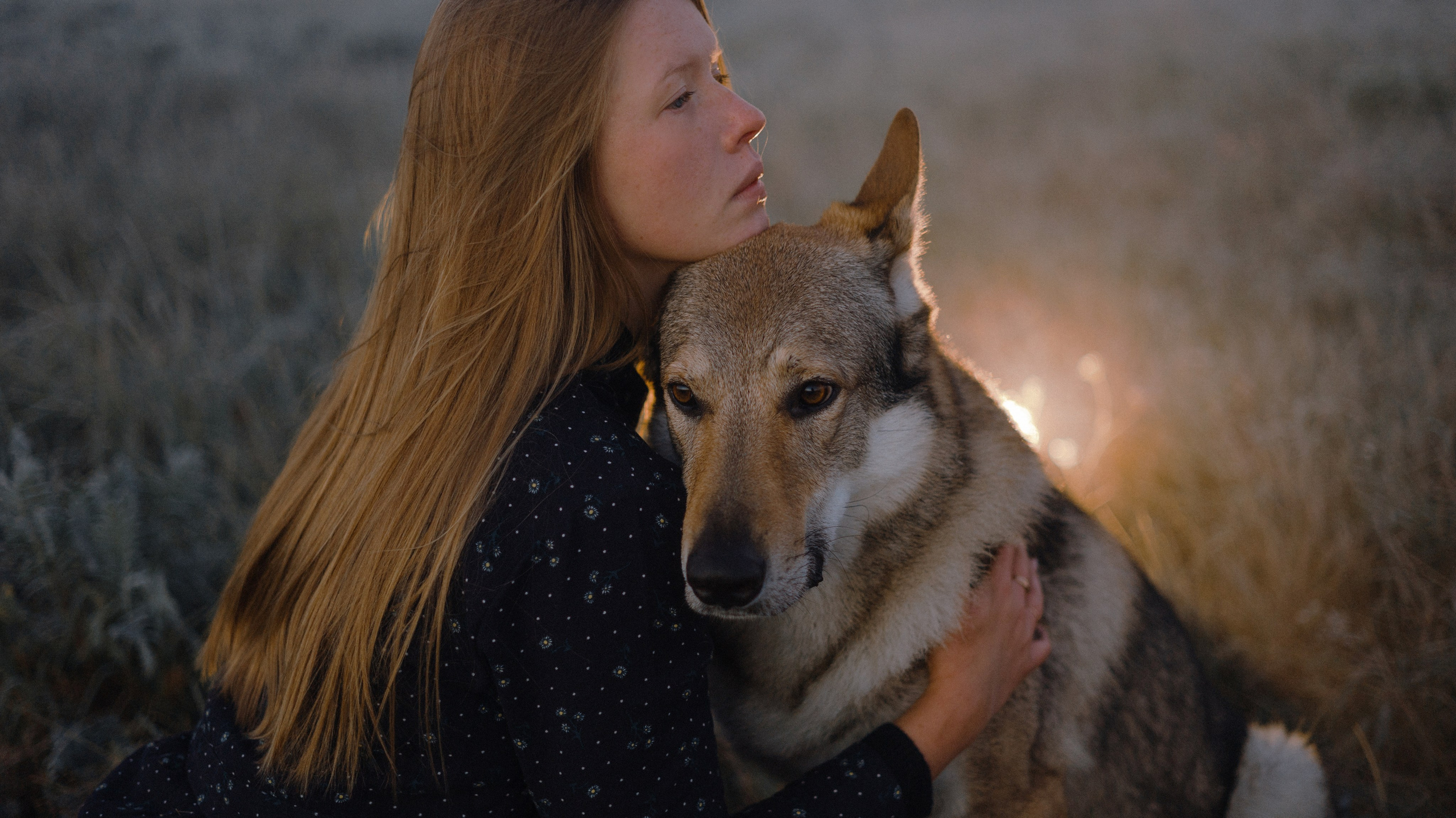 Полина и Вегард. Фотограф-анималист Богданова Полина