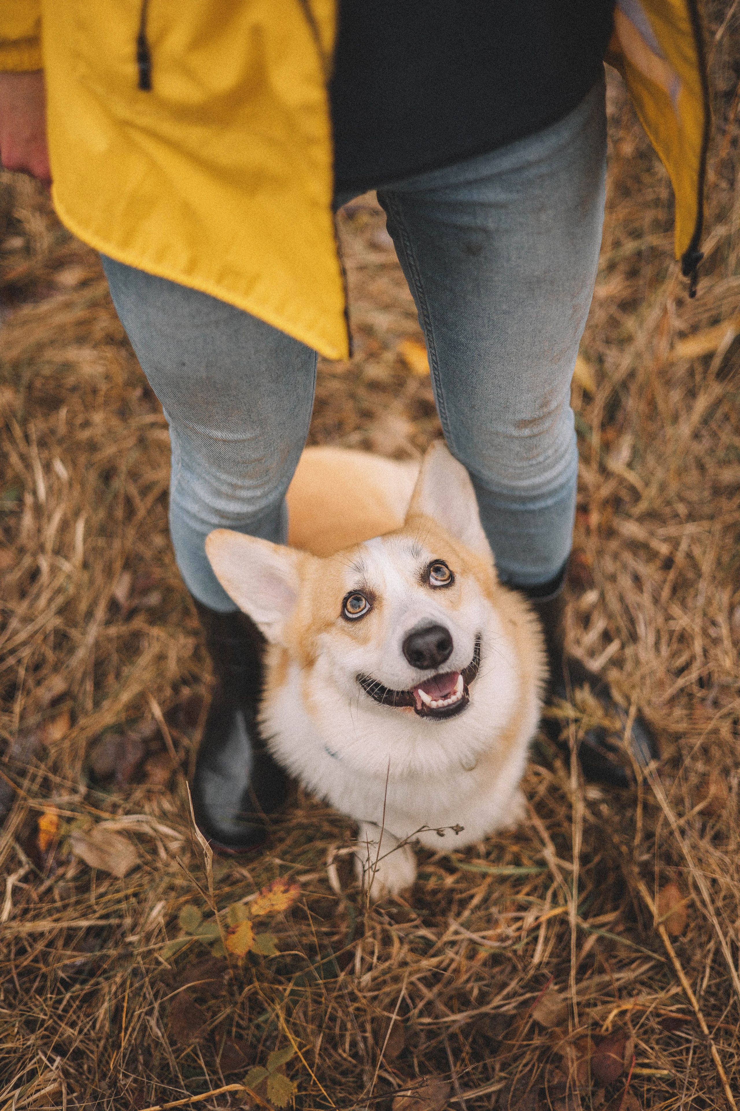 Юля и барри. Фотограф-анималист Богданова Полина