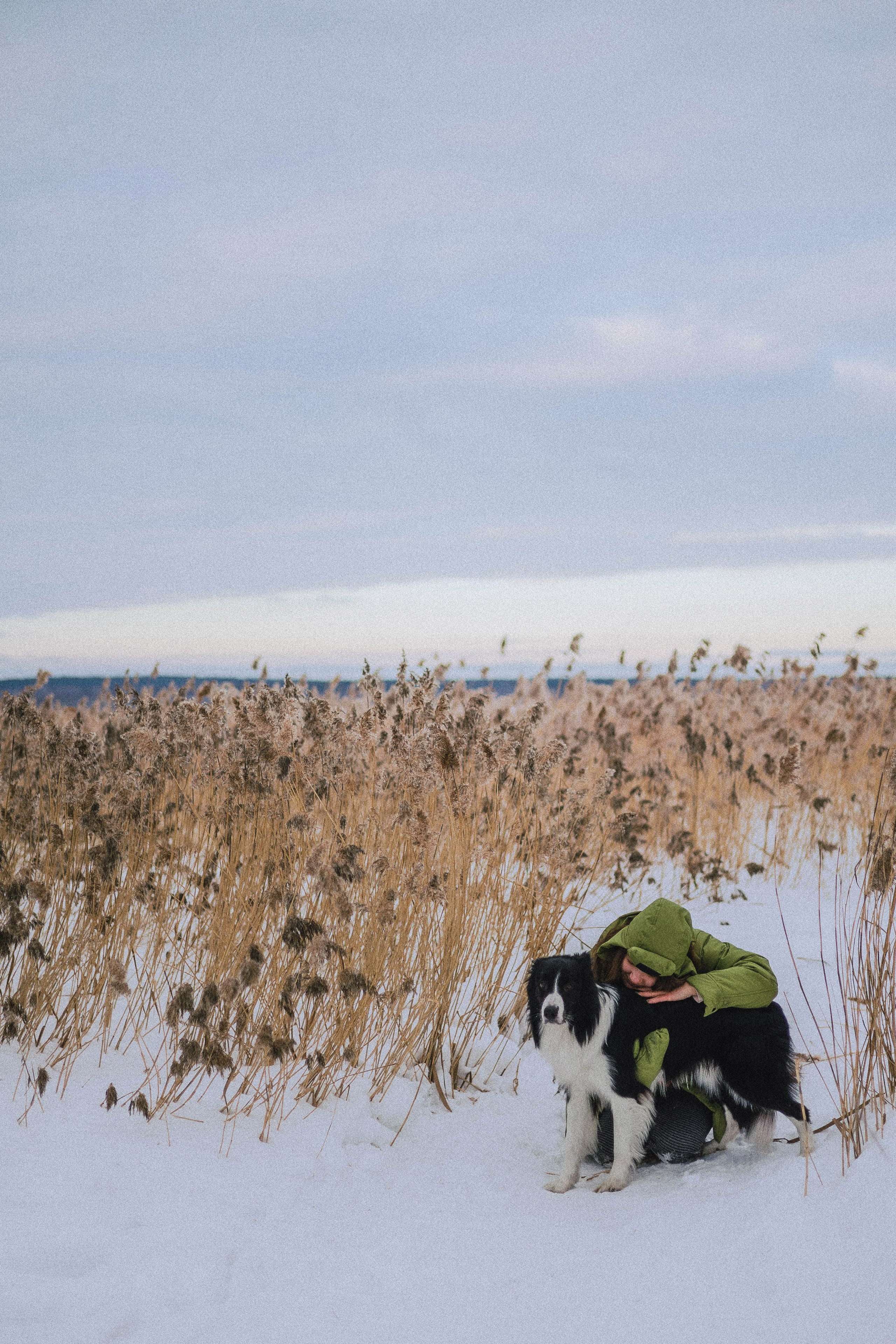 Маша, Рэм и Ньютон. Фотограф-анималист Богданова Полина