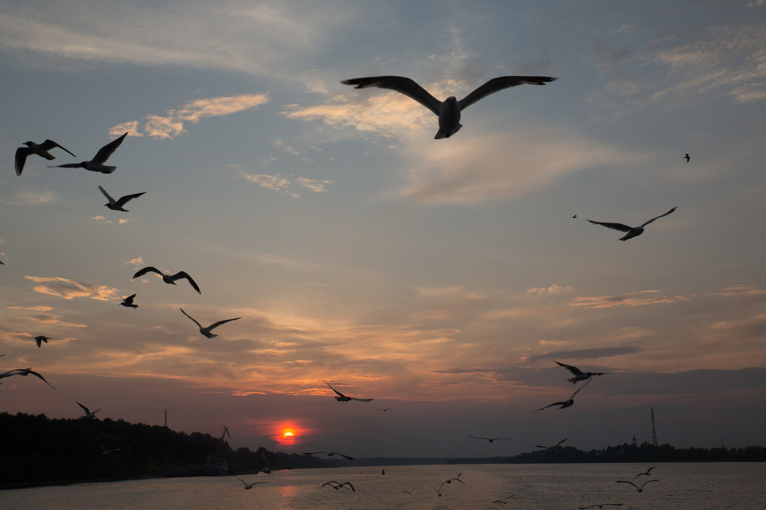 Г. Ярославль. Студия Максима Белослюдцева