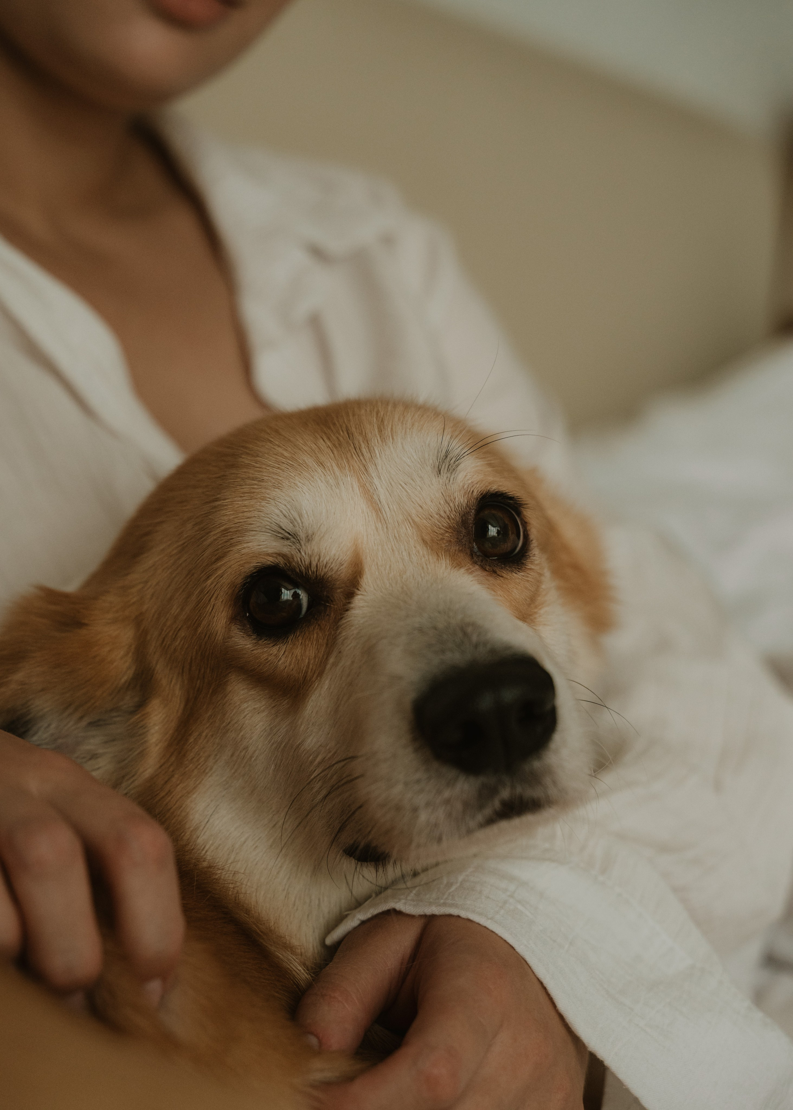 Никита и Даша | Свадебный день