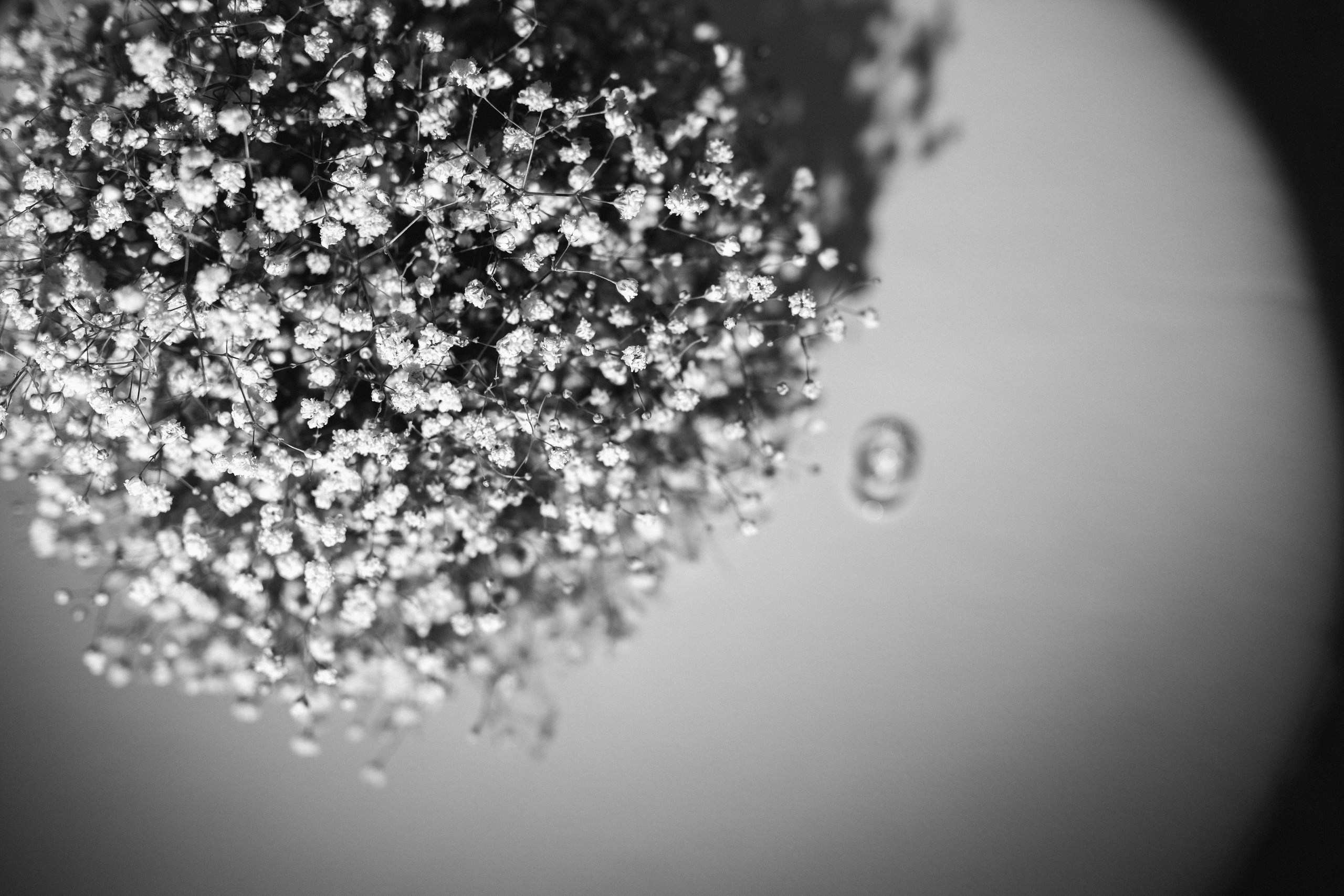 Артем и Полина. Свадебный и женский фотограф