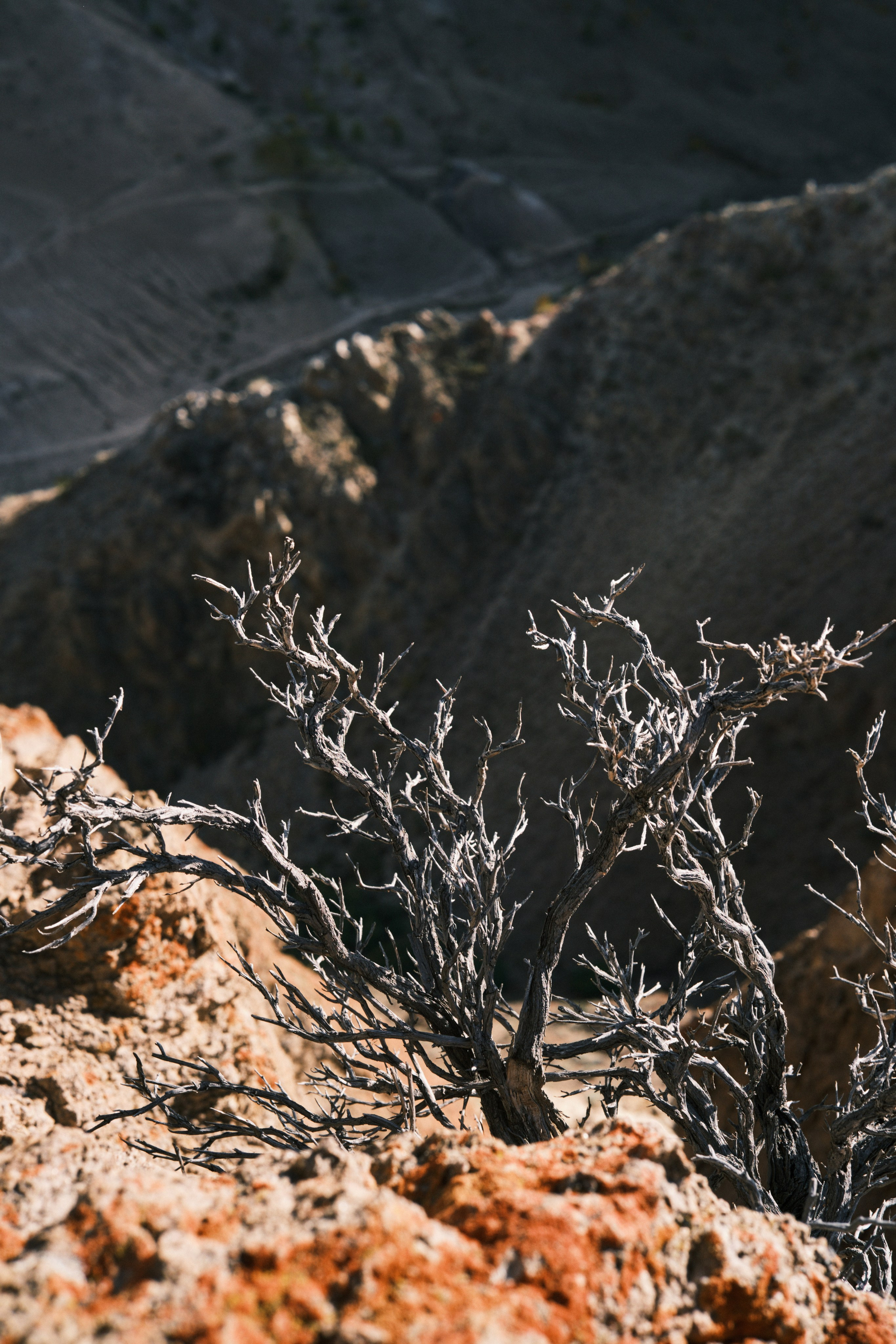 Природа. Антон Ив