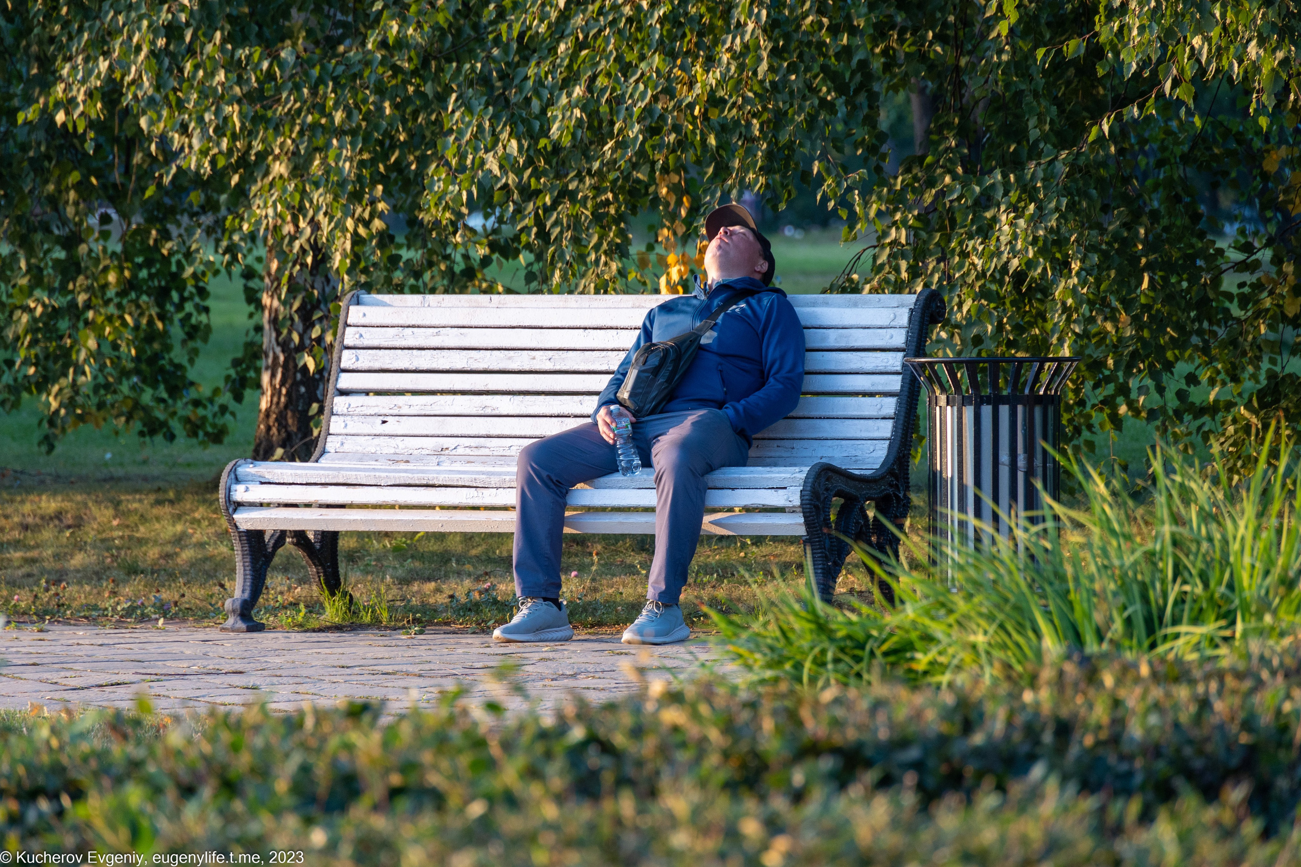 Скамейки. Кучеров Евгений. Фотограф