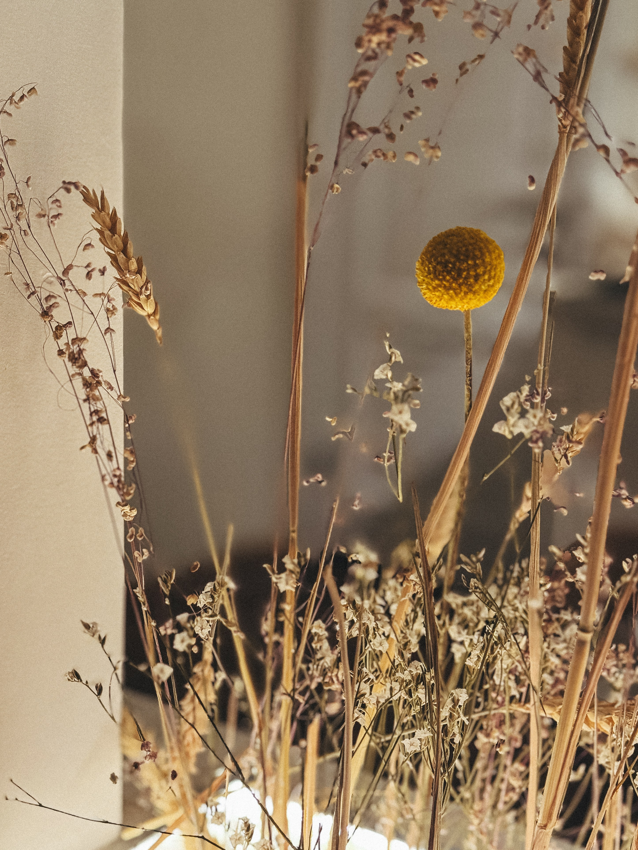 Osteria Mario. Александра Мельниченко/ Бегающий фотограф