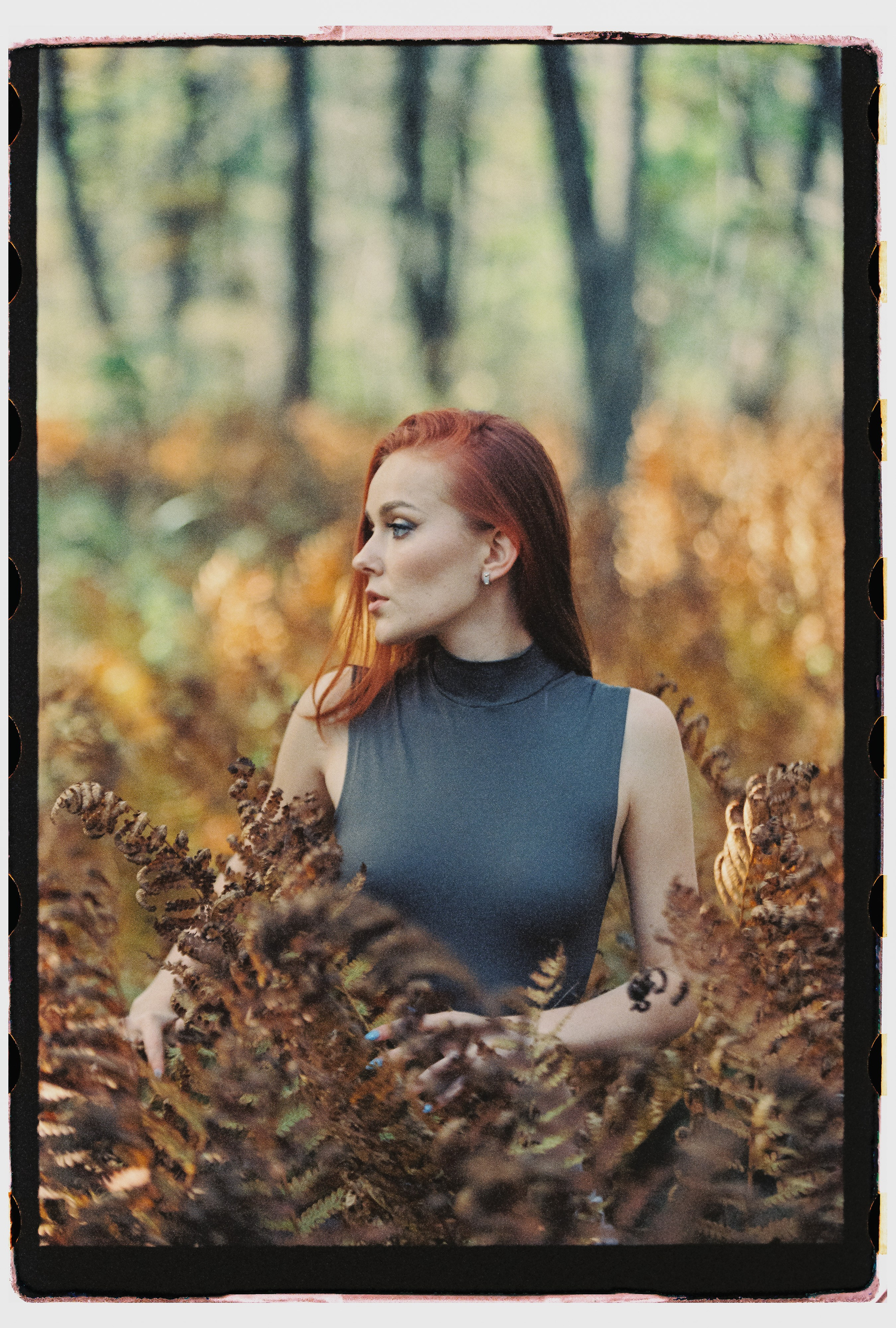 Поляна раздора