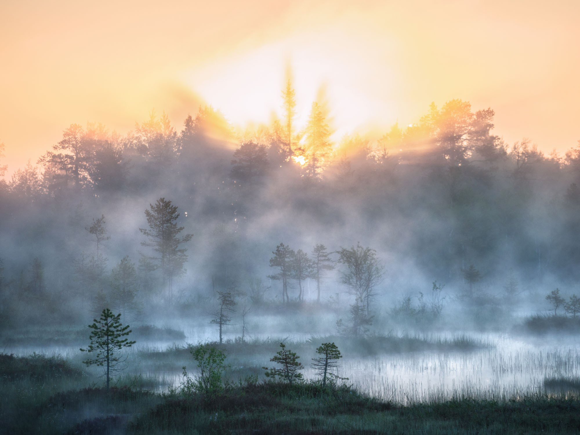 Фотографии Кольский полуостров Карелия