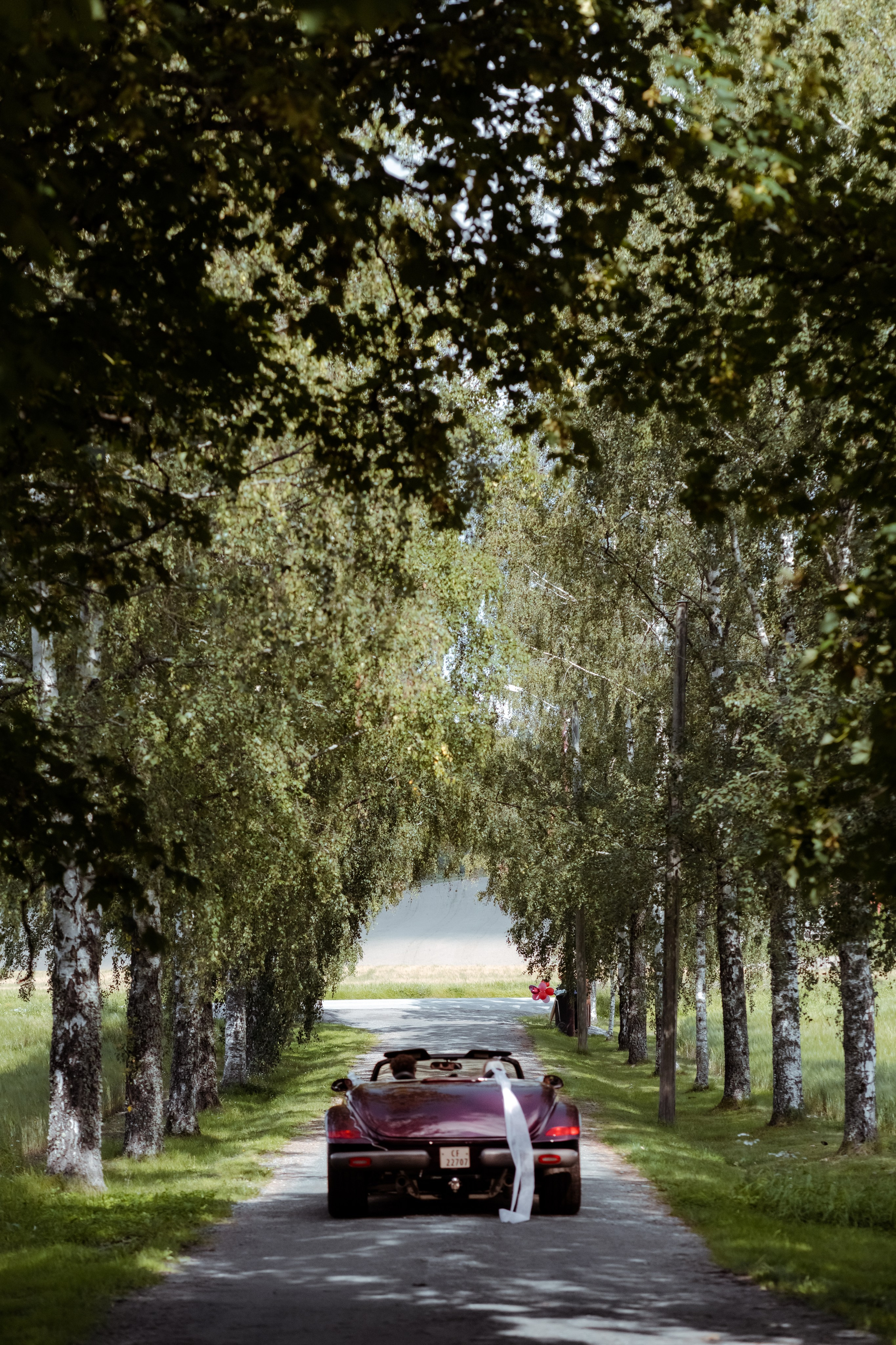 OSLO, NORWAY |ELINE + KRISTIAN. Elopement Wedding Photographer